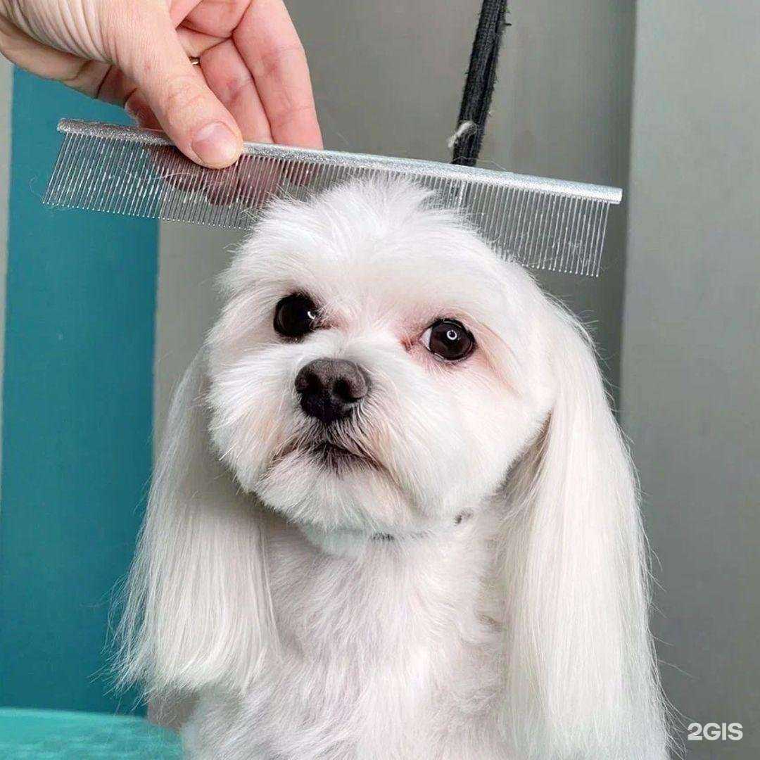 Отзывы на компанию Irma groom в Арзамасе c фото