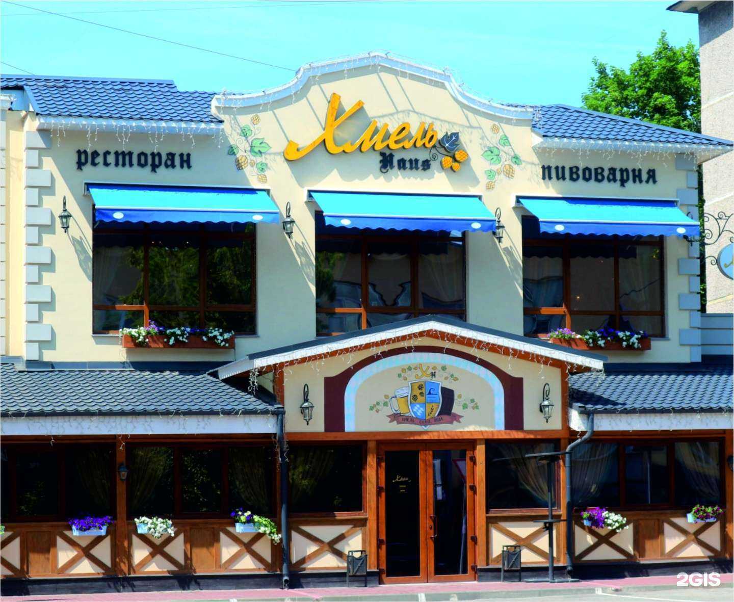 Отзывы на компанию Какаду в Липецке c фото