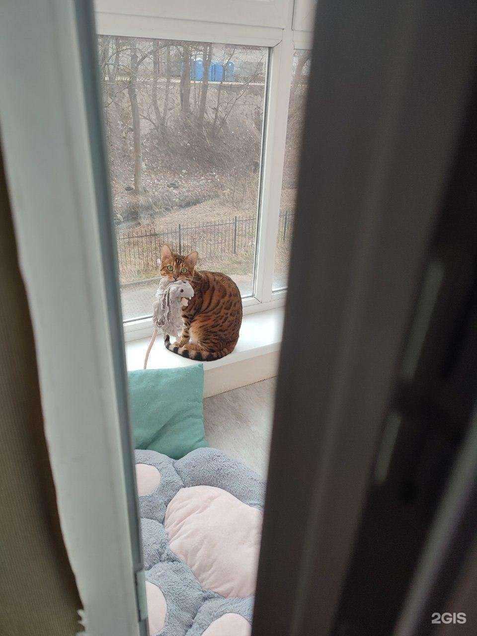 Отзывы на компанию Магазин товаров из IKEA в Калининграде c фото