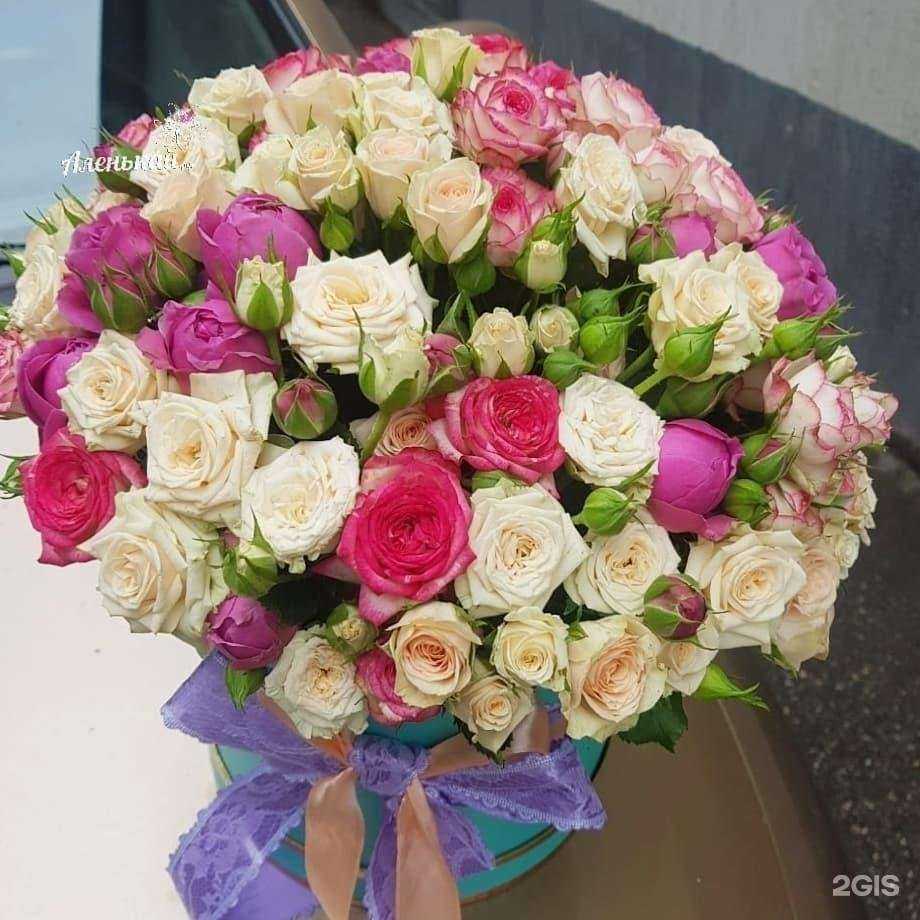 Отзывы на компанию Аленькай.РФ в г. Ессентуки c фото