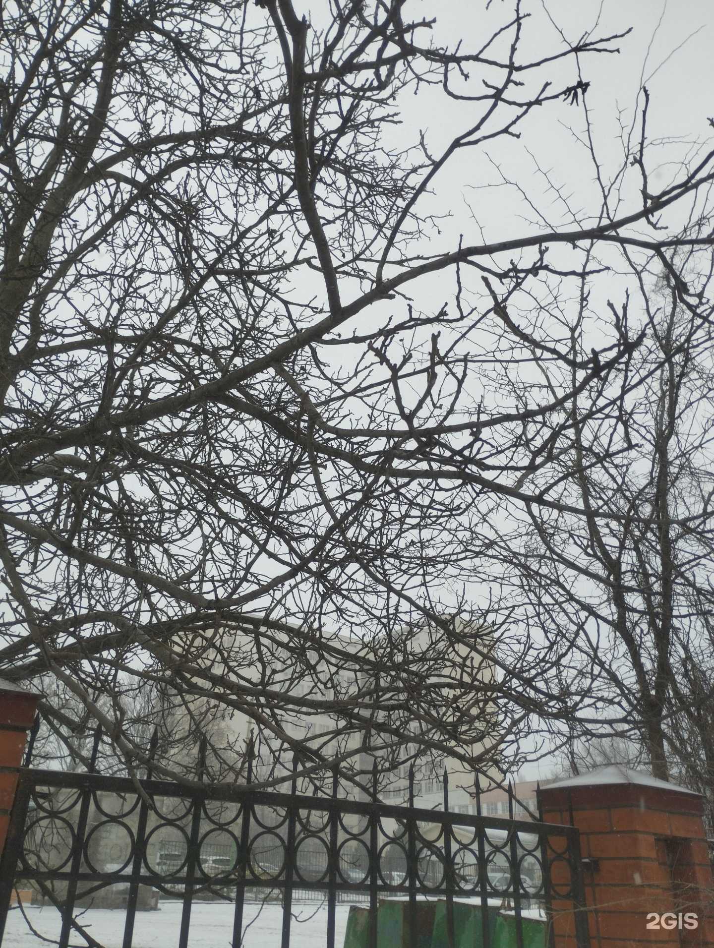 Отзывы на компанию Похоронное бюро в г. Ростов-на-Дону c фото