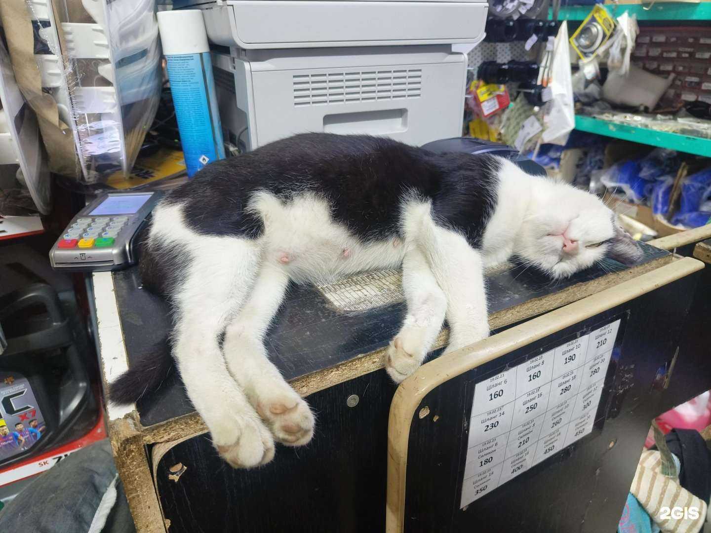 Отзывы на компанию Магазин автозапчастей в Нижнекамске c фото