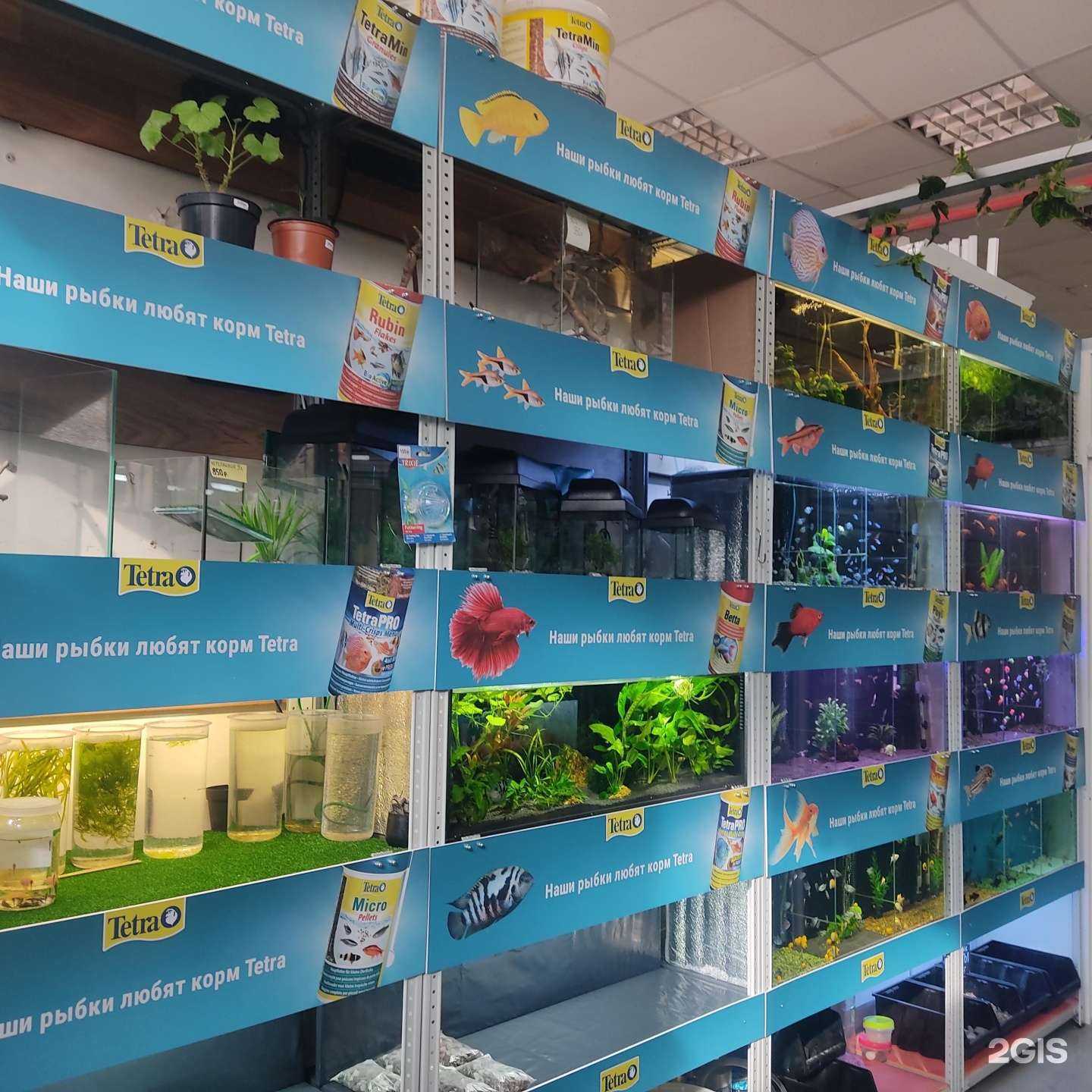 Отзывы на компанию Магазин аквариумистики в Уфе c фото