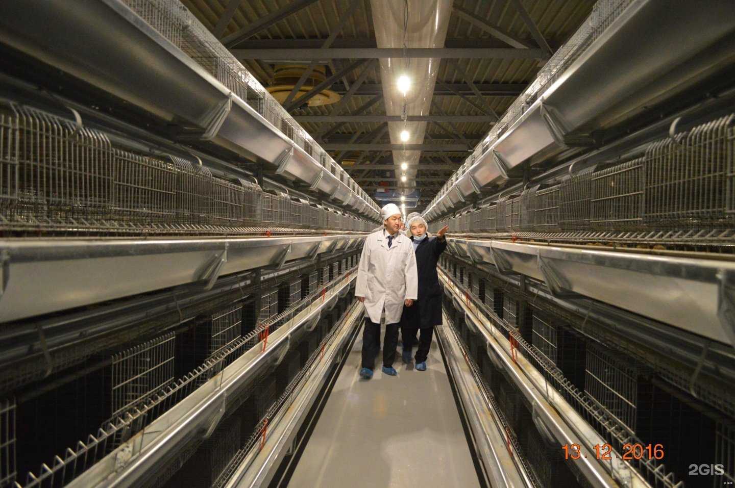 Отзывы на компанию Якутская Птицефабрика в Якутске c фото