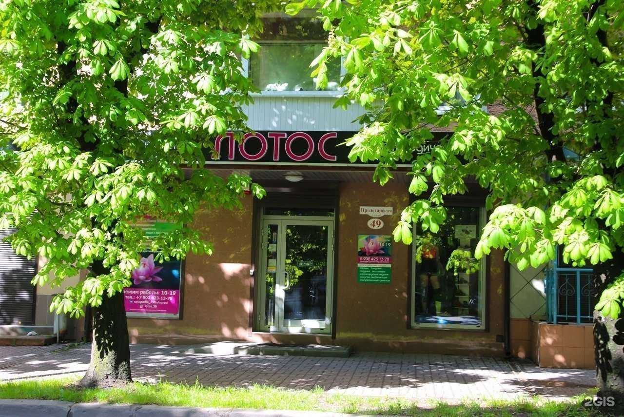 Отзывы на компанию Лотос в г. Калининград c фото