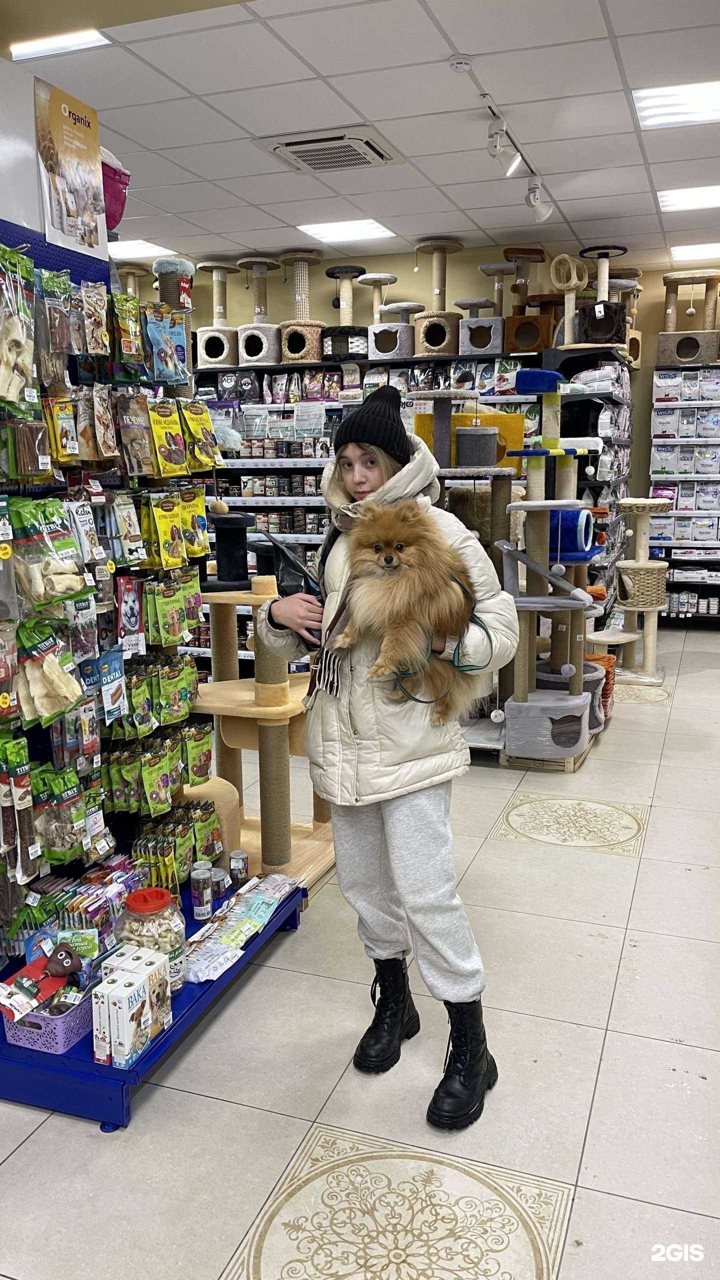 Отзывы на компанию Альф в г. Барнаул c фото