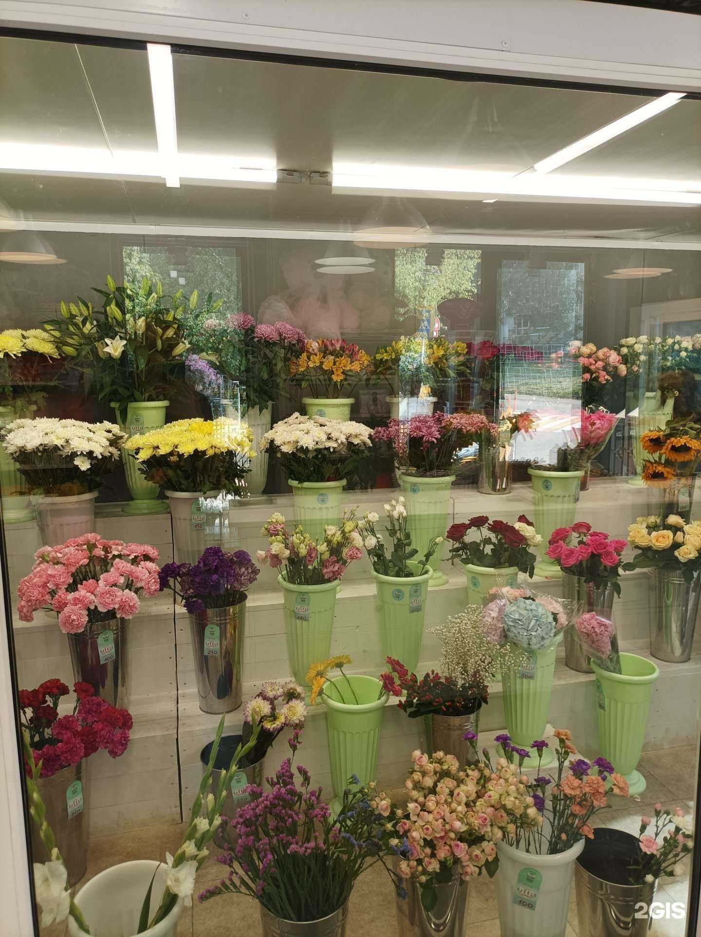 Отзывы на компанию Какаду в г. Одинцово c фото