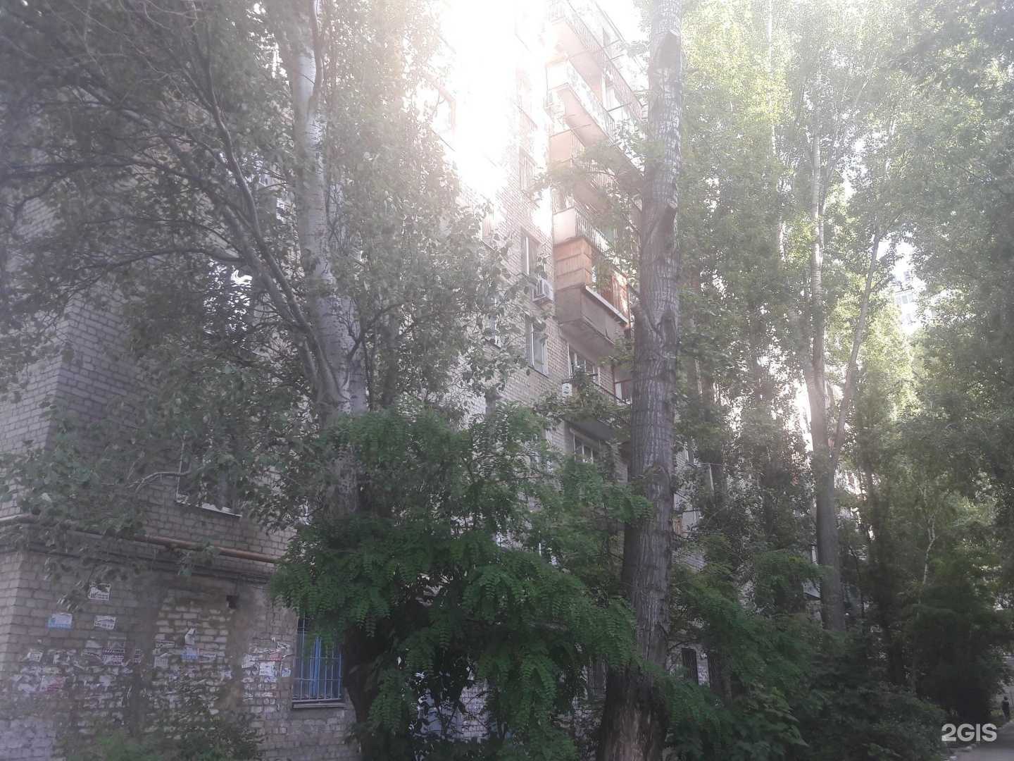 Отзывы на компанию Союз художников России в Саратове c фото - фотография 2 из 2