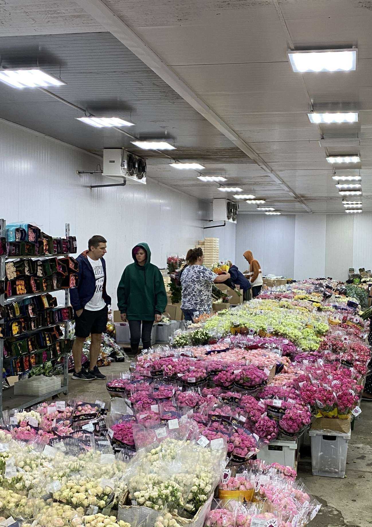 Отзывы на компанию Green house в Краснодаре c фото