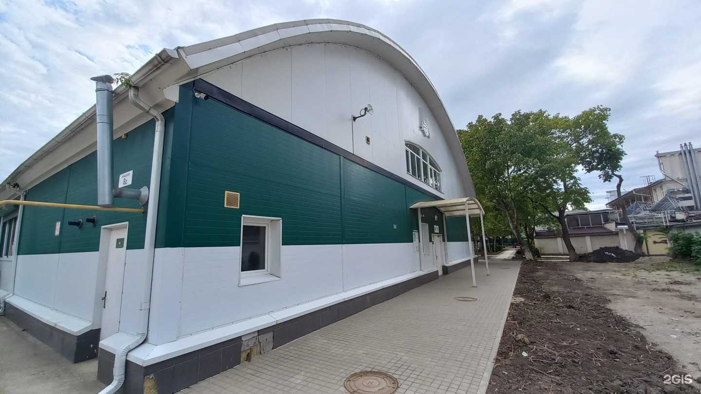 Отзывы на компанию Детская академия в г. Белореченск c фото