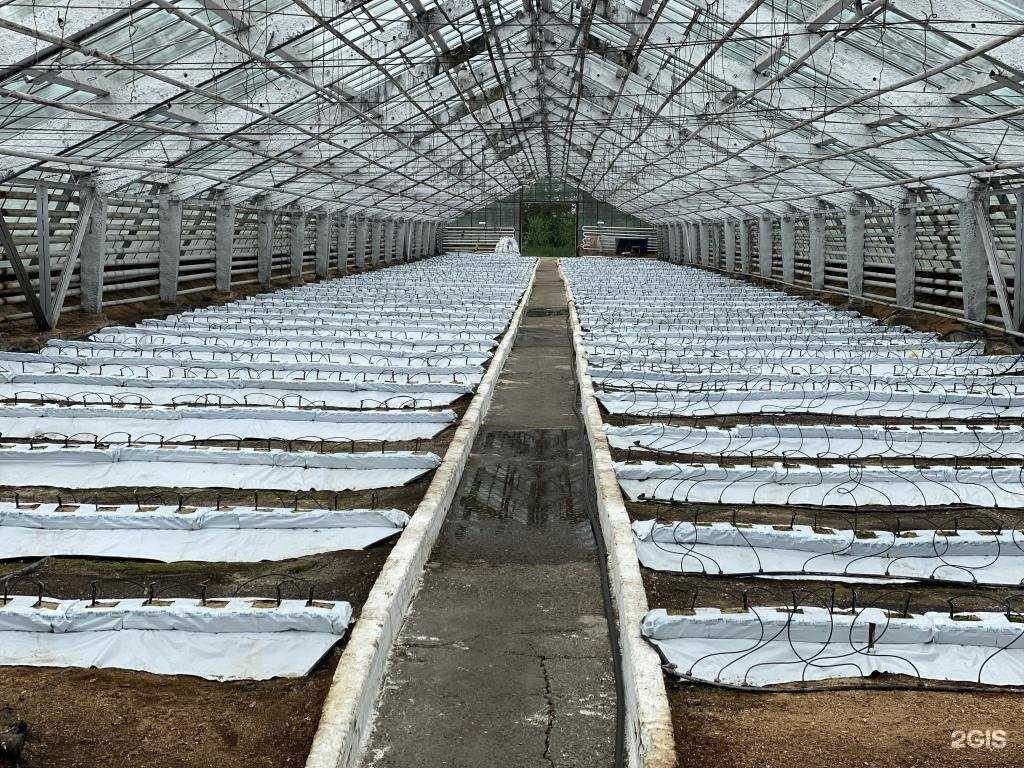 Отзывы на компанию Кафе в г. Иркутск c фото