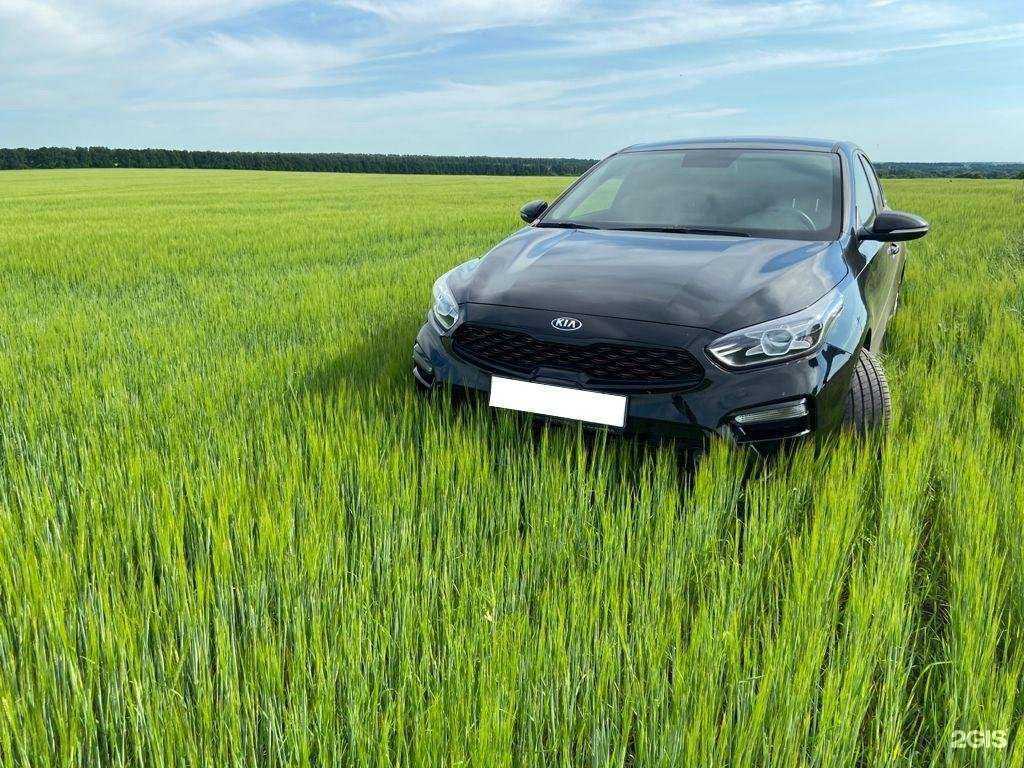 Отзывы на компанию Автолайн в Новосибирске c фото