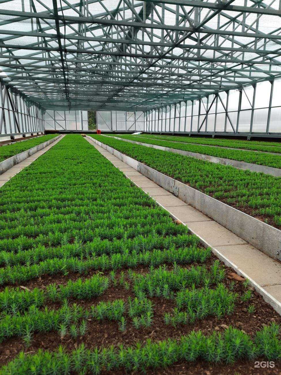 Отзывы на компанию Вологодский лес в Вологде c фото