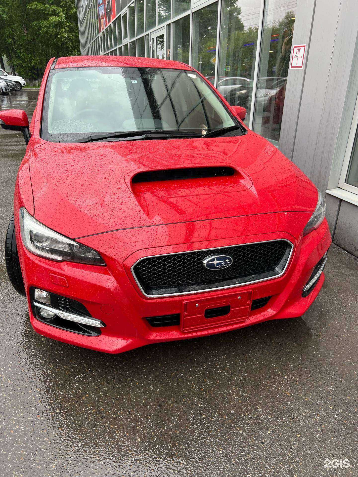 Отзывы на компанию M53 в Новокузнецке c фото