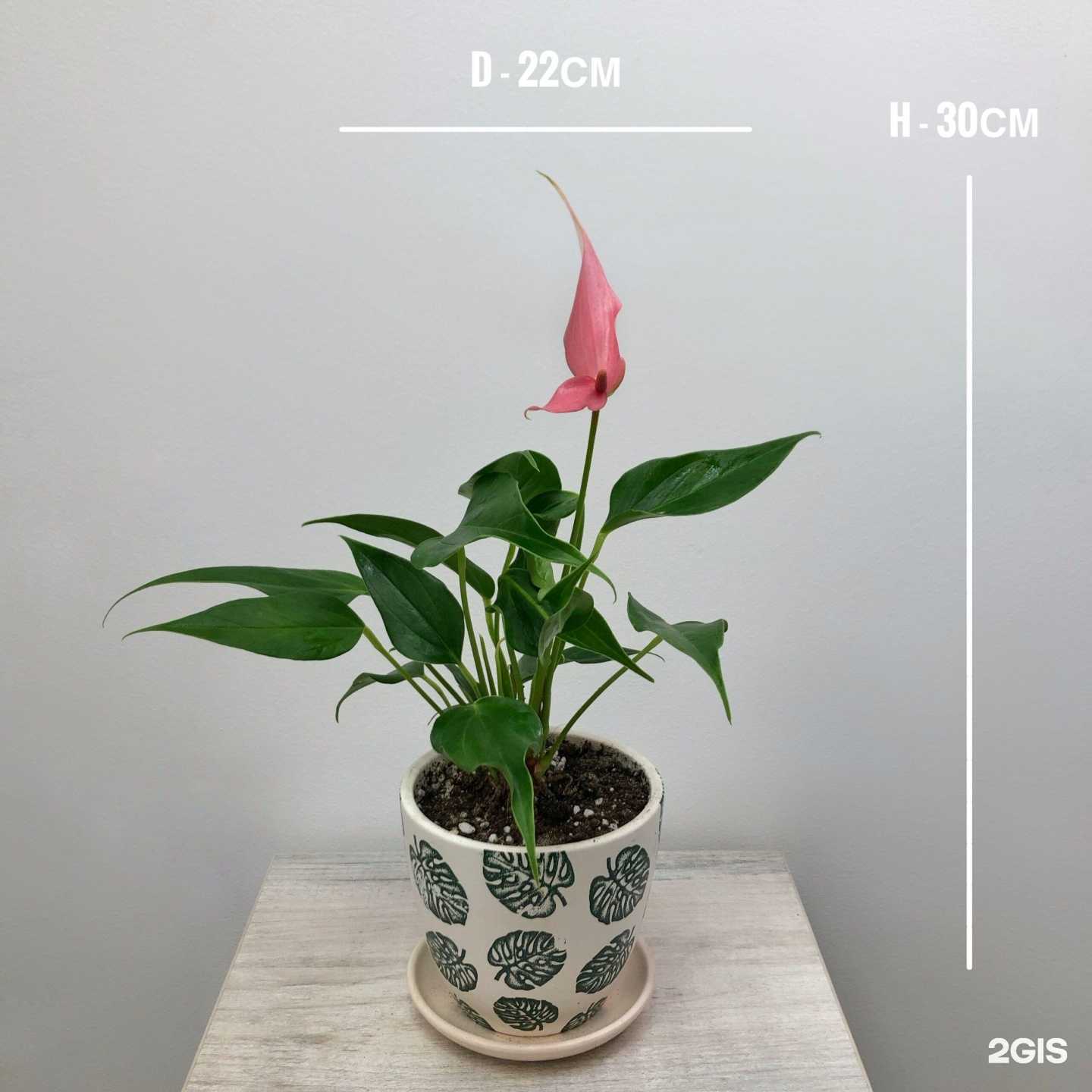 Отзывы на компанию GreenStudio в Волжском c фото