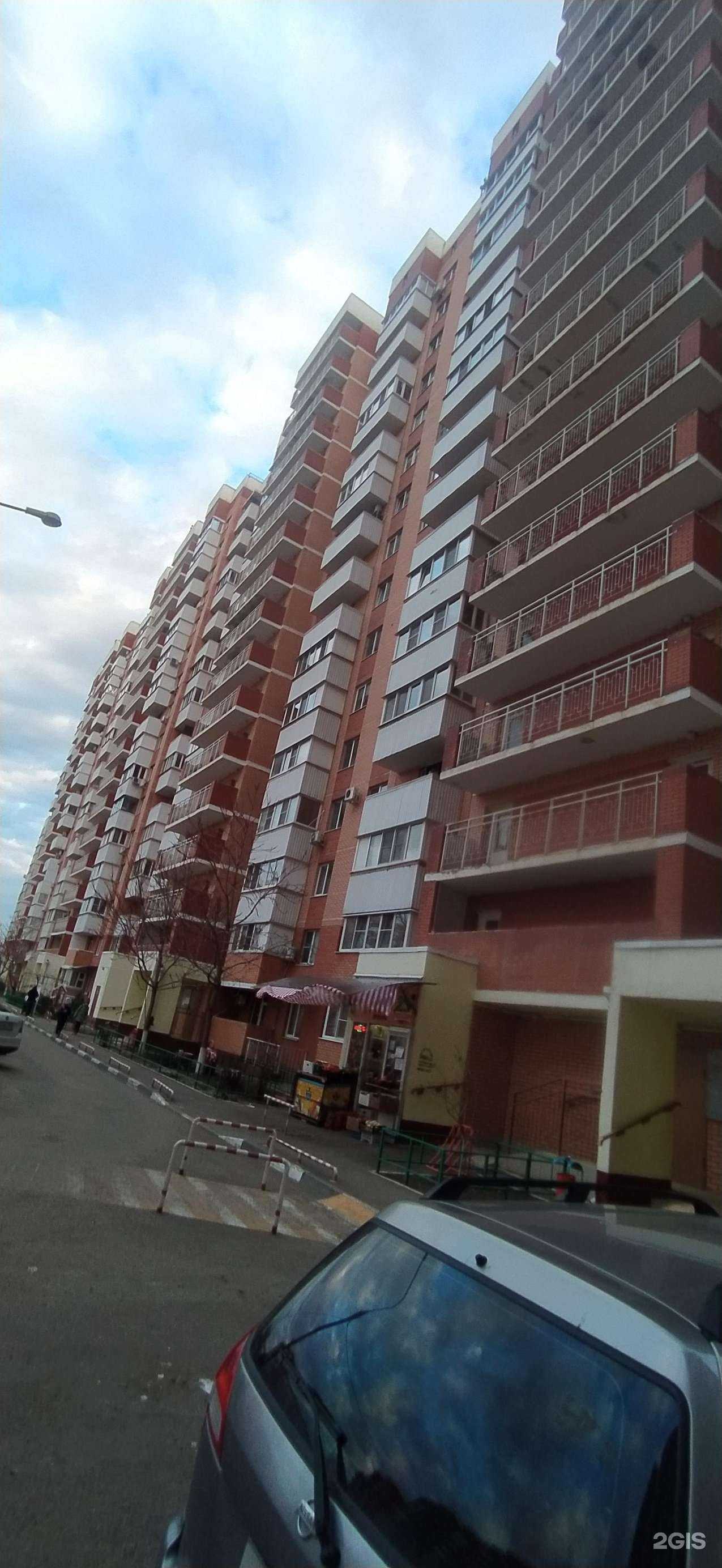 Отзывы на компанию sharik_61_krd в Краснодаре c фото - фотография 2 из 2