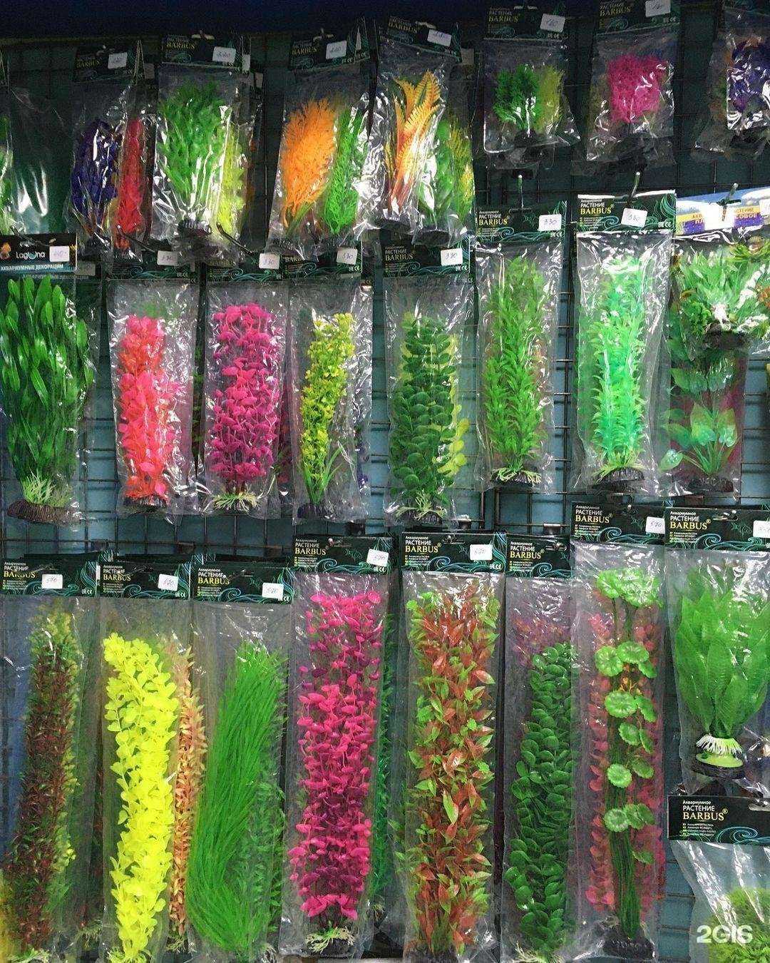 Отзывы на компанию Живой мир в Комсомольске-на-Амуре c фото