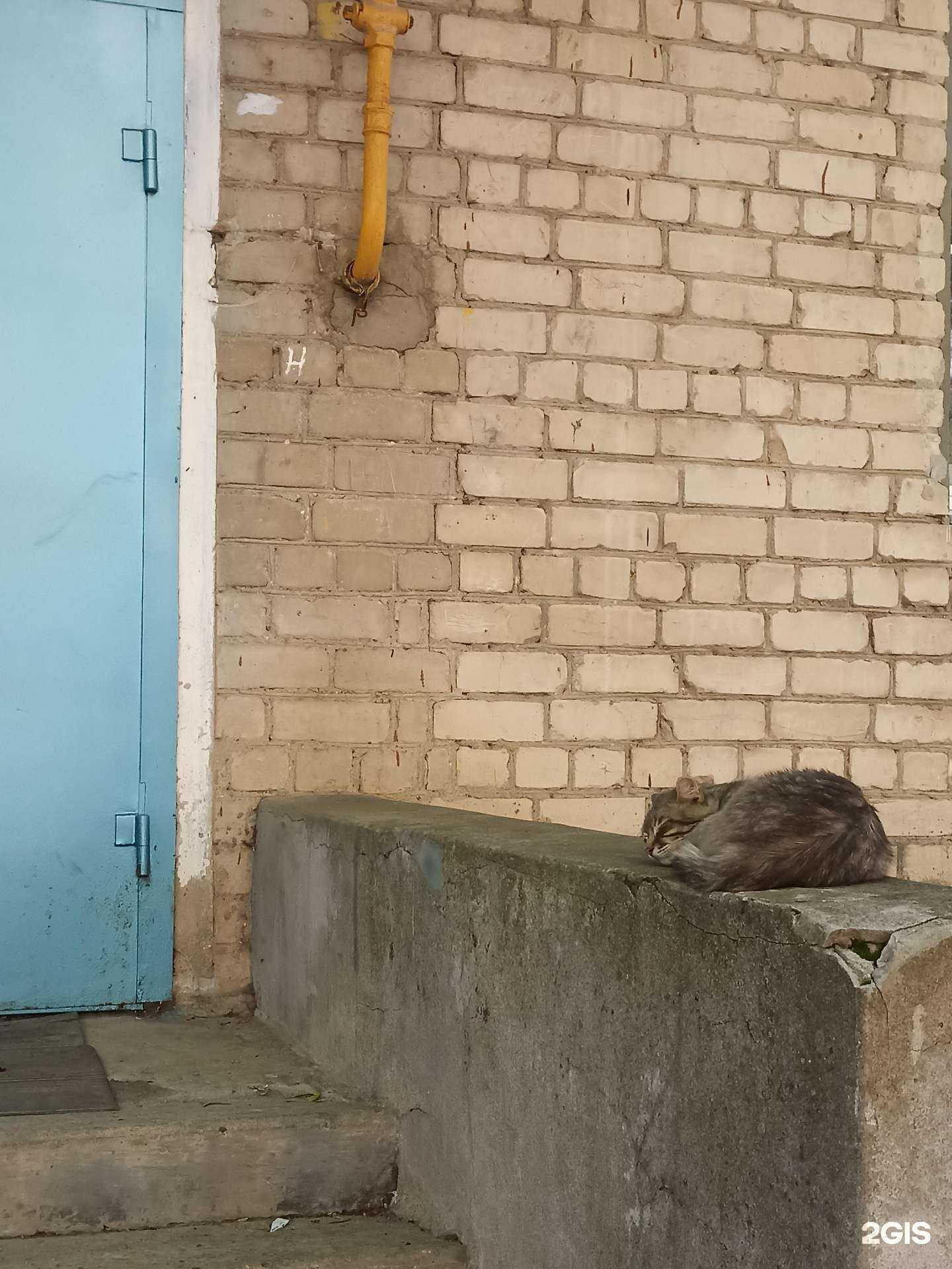 Отзывы на компанию Зубастик в Пятигорске c фото - фотография 2 из 2