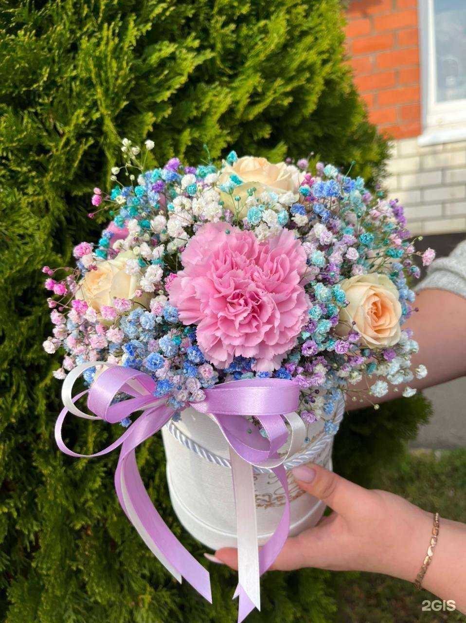 Отзывы на компанию Н.Студия в Краснодаре c фото