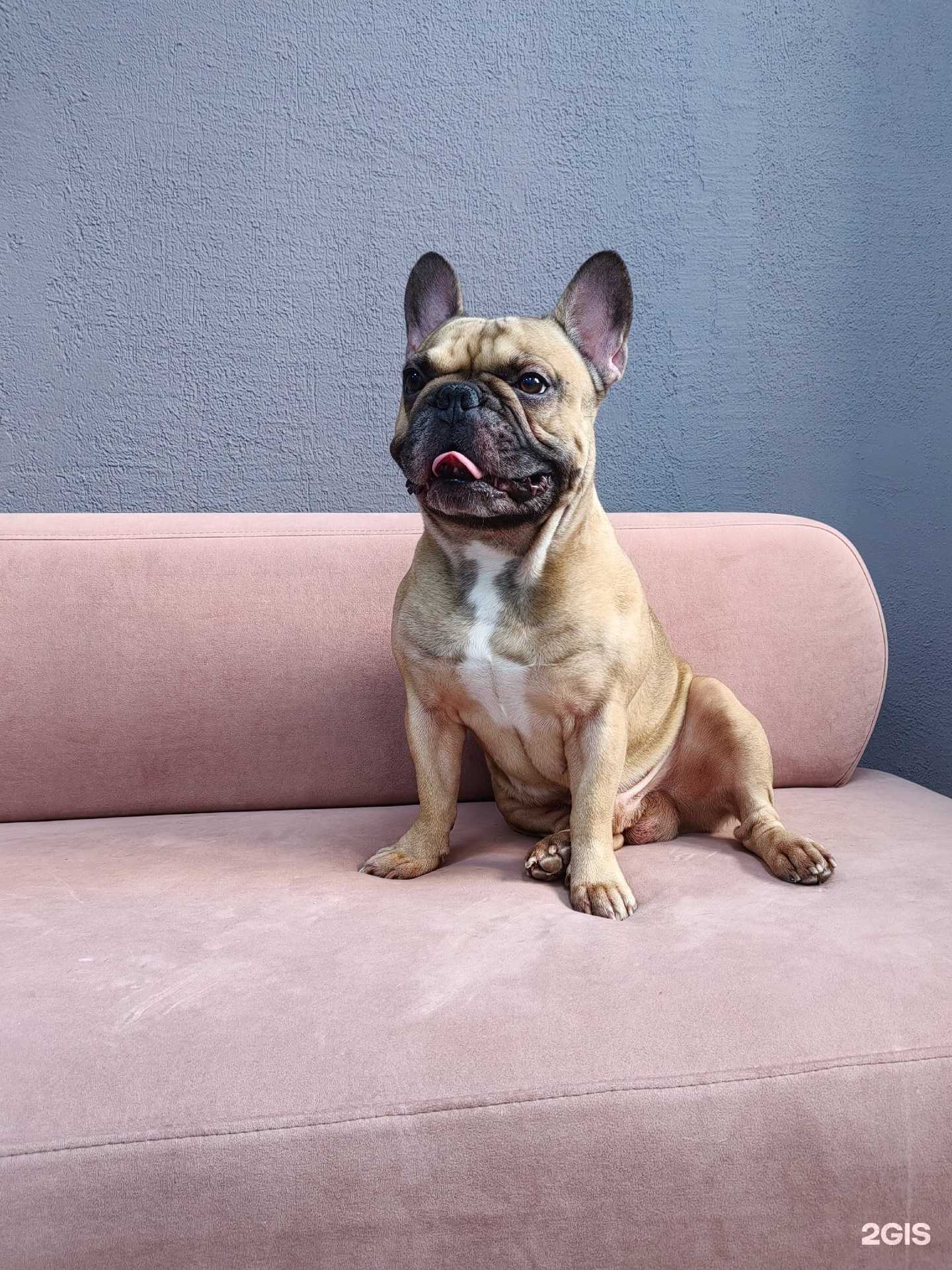 Отзывы на компанию Hakuna Matata в Самаре c фото