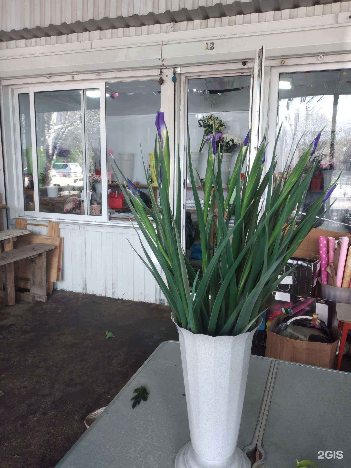 Отзывы на компанию Цветочная лавка в г. Волжский c фото