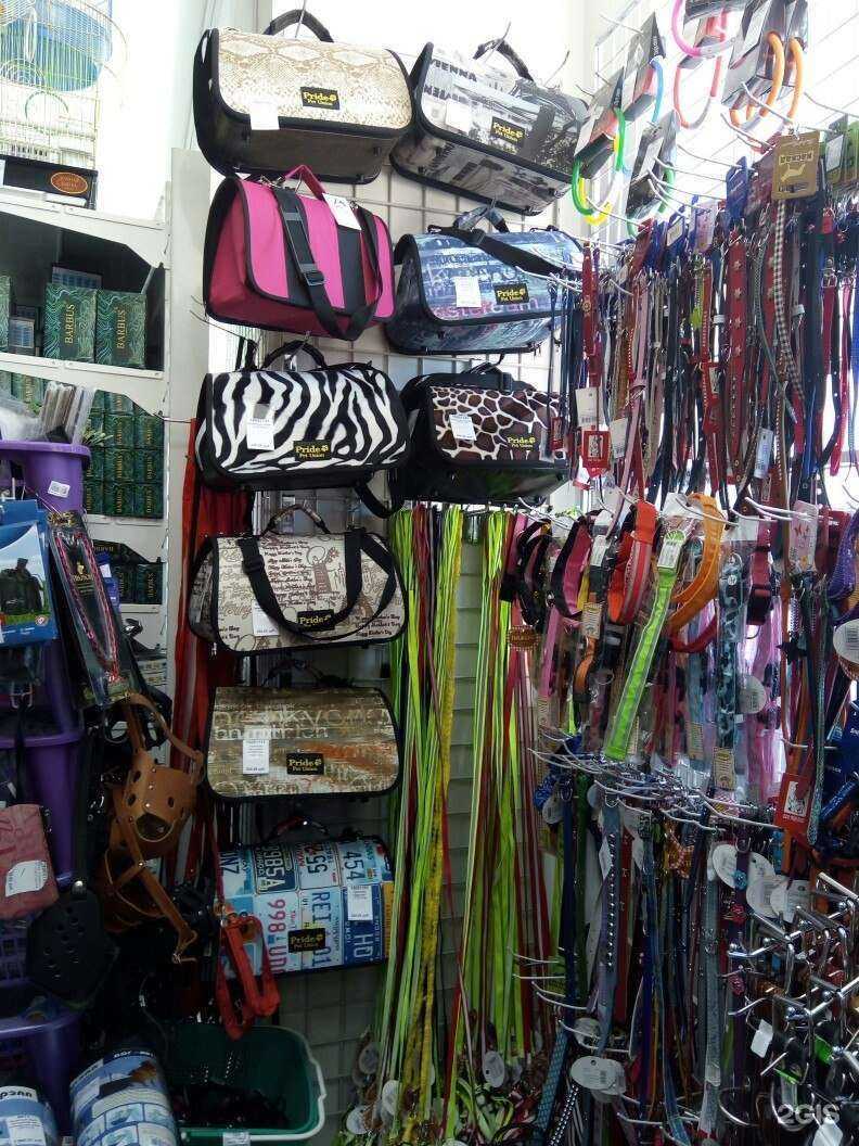 Отзывы на компанию Тузик в г. Брянск c фото