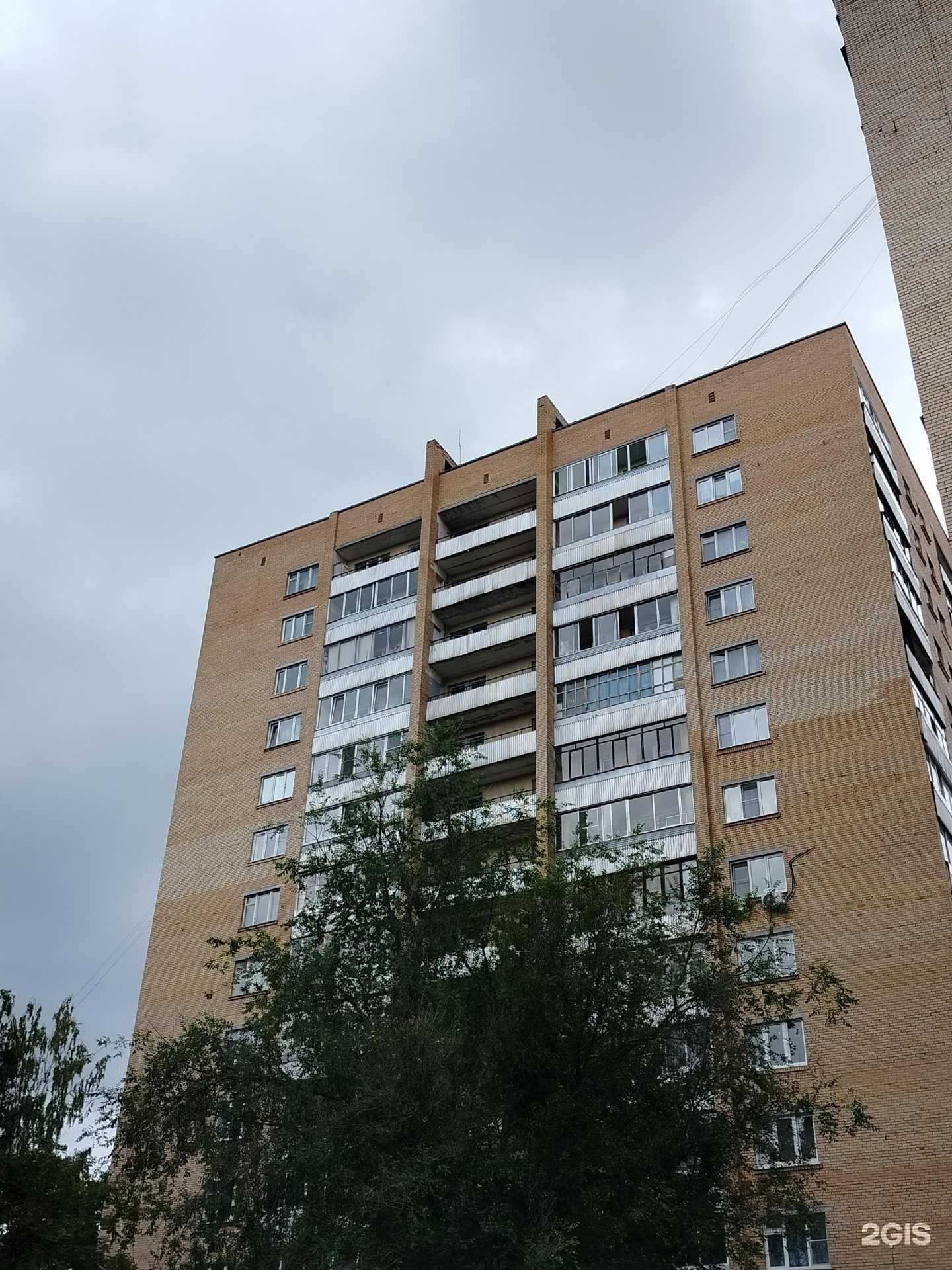 Отзывы на компанию ЗооДубна в Дубне c фото