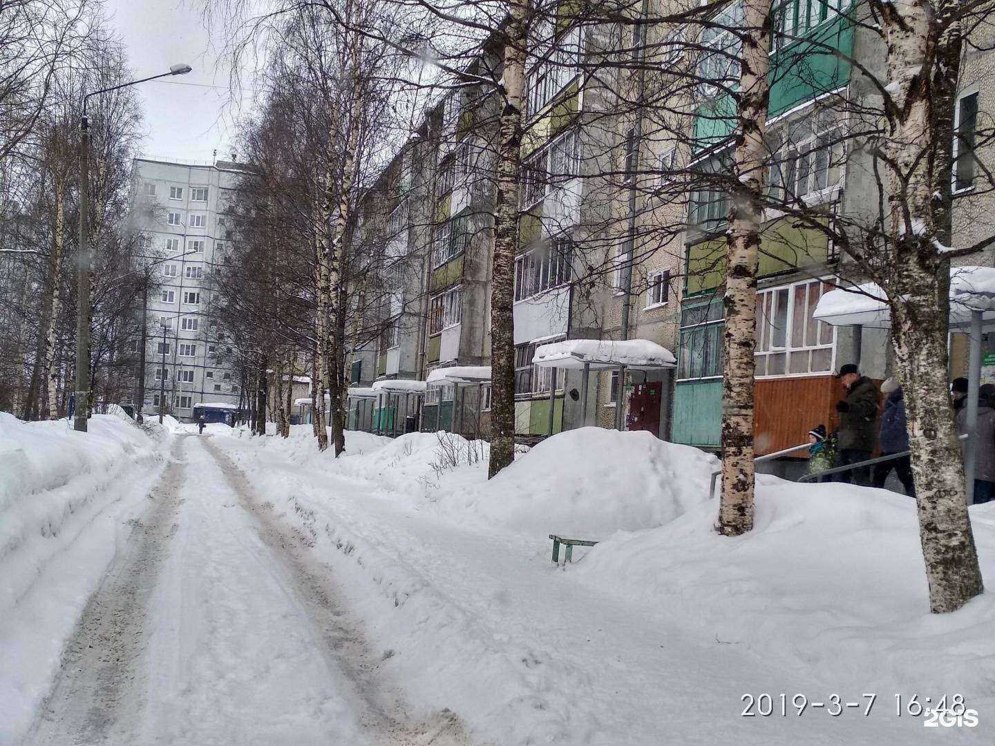 Отзывы на компанию Стрижка в г. Архангельск c фото