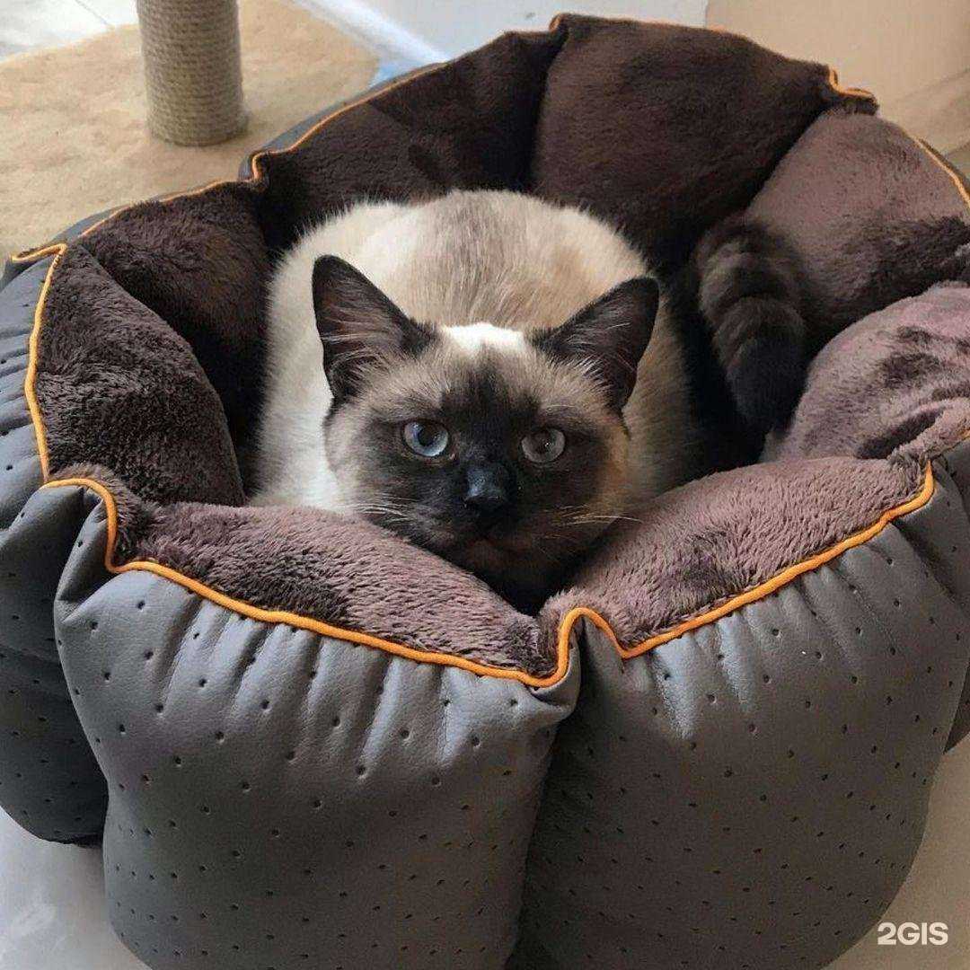 Отзывы на компанию Любимый хвостик в г. Сочи c фото