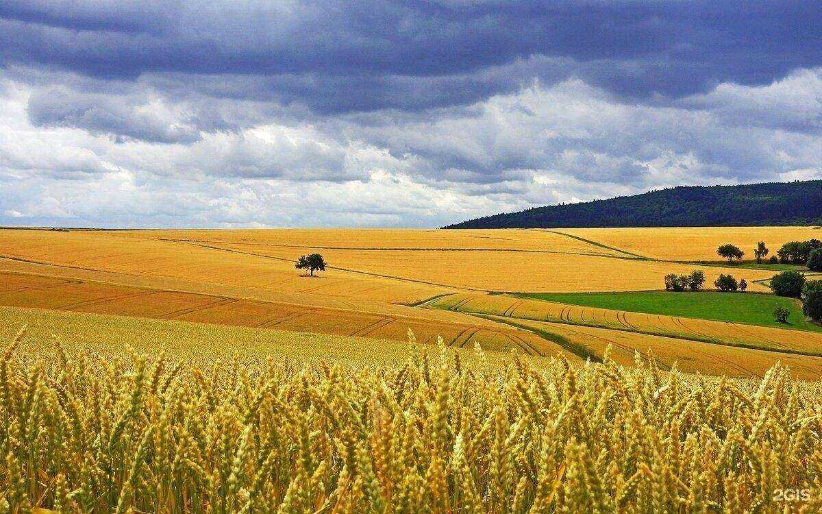 Отзывы на компанию Биотех в Красноярске c фото