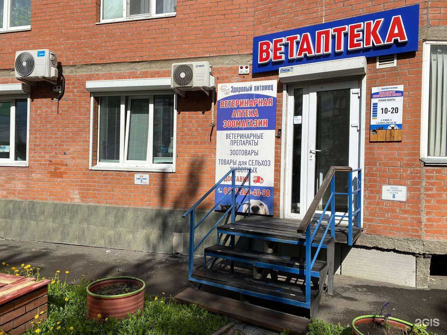 Отзывы на компанию Здоровый питомец в г. Красноярск c фото