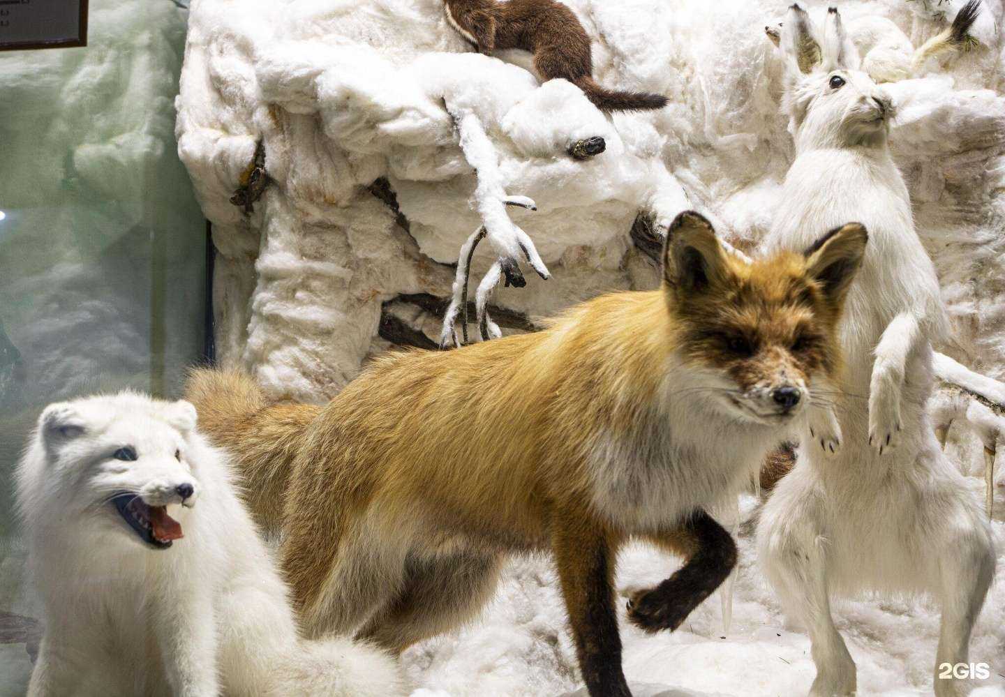 Отзывы на компанию Усть-Балык в г. Нефтеюганск c фото