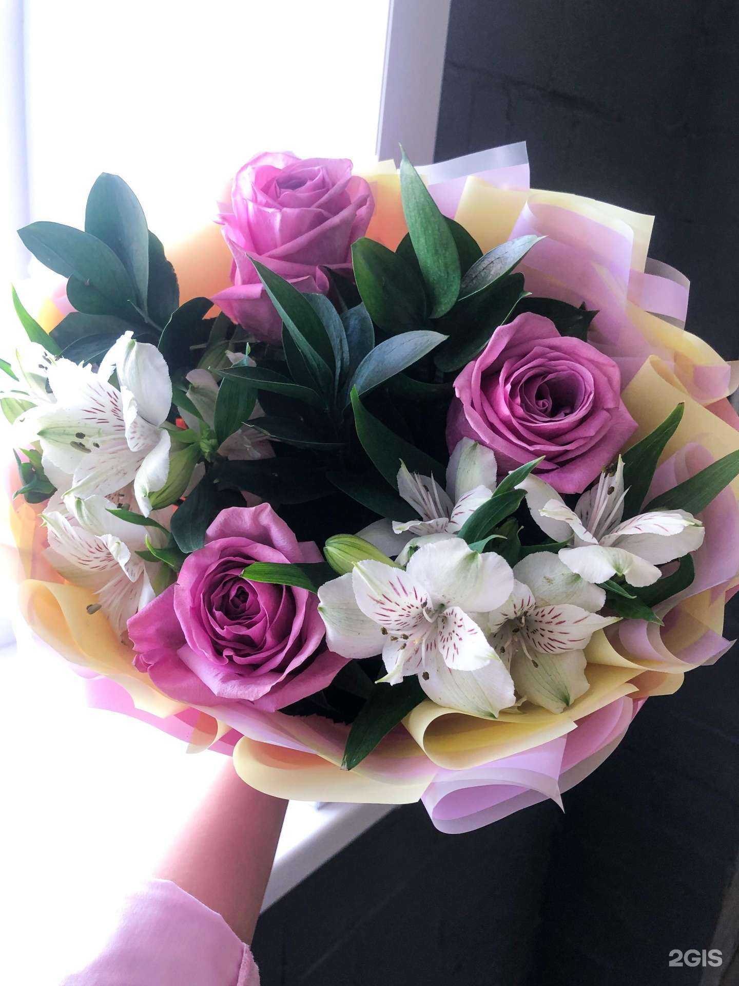 Отзывы на компанию Джаz в Архангельске c фото