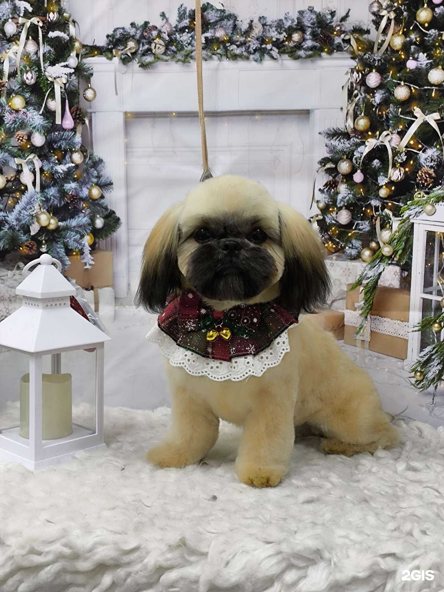 Отзывы на компанию Мон Ами в Самаре c фото