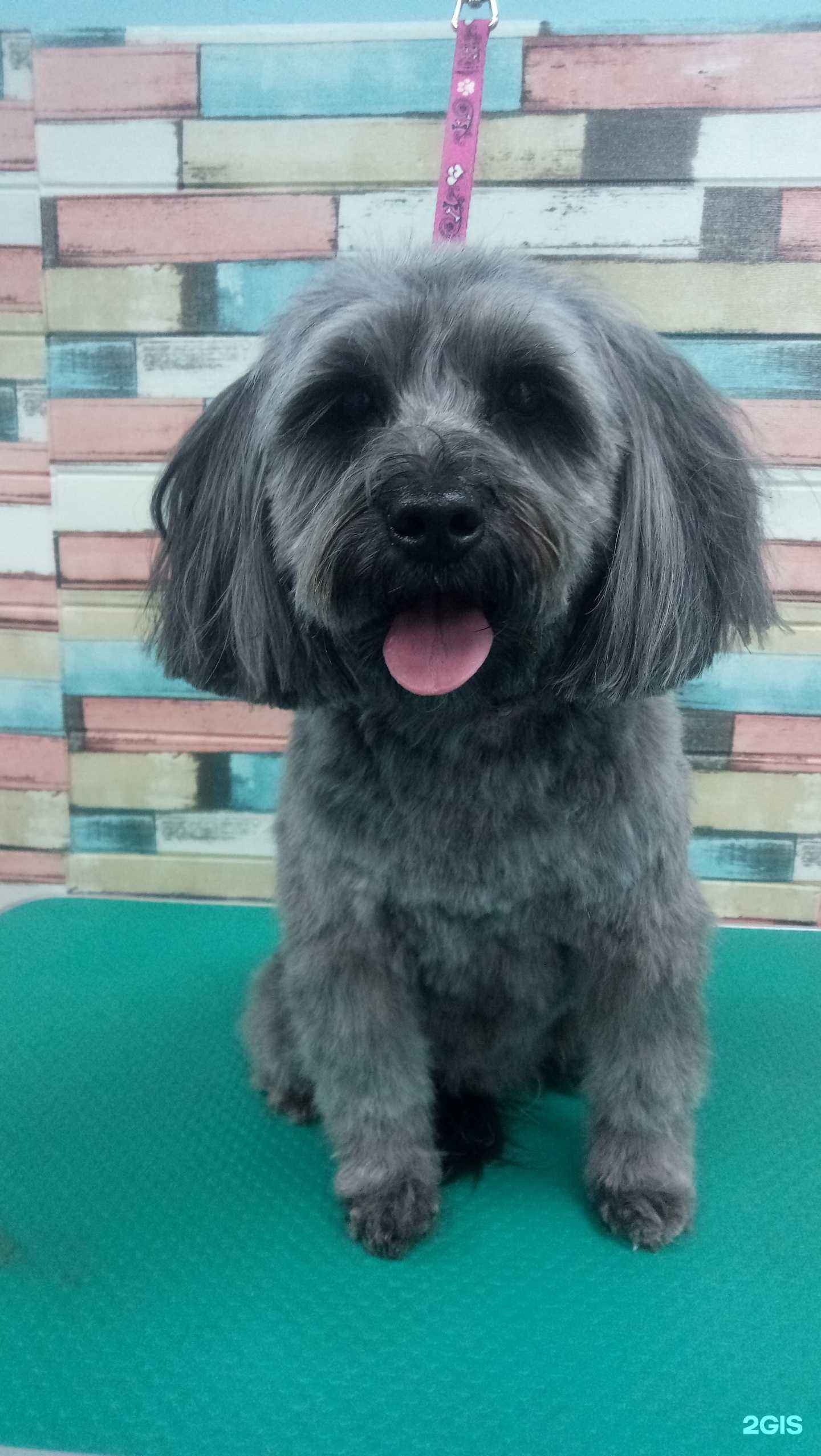 Отзывы на компанию Расчёска в г. Томск c фото