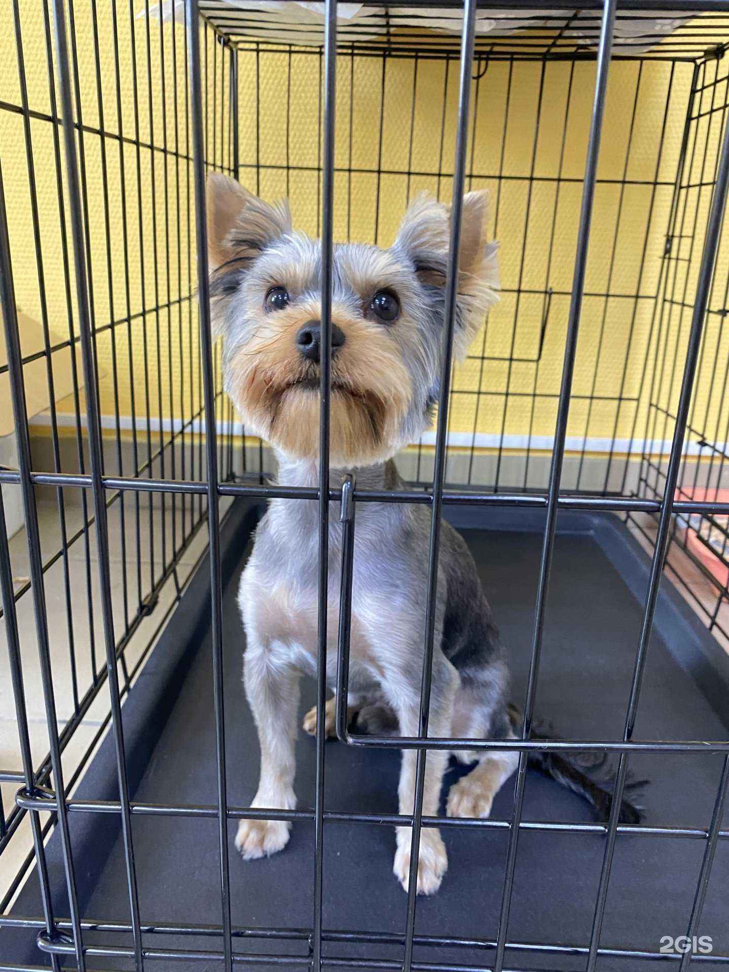 Отзывы на компанию Снежный барс в Омске c фото