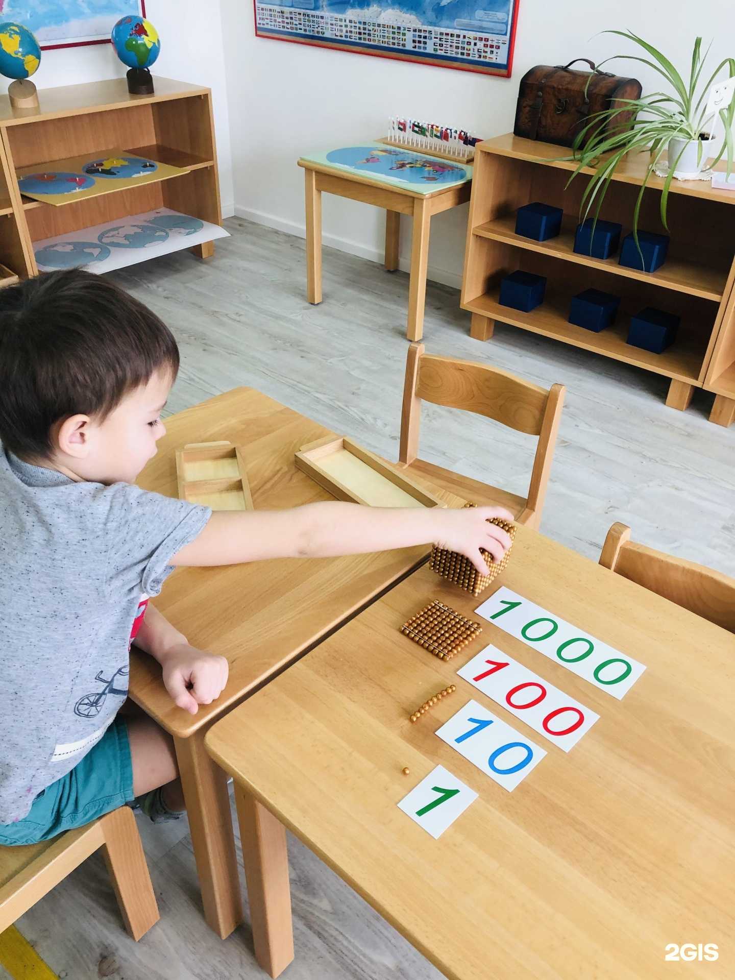 Отзывы на компанию Гингко в Краснодаре c фото