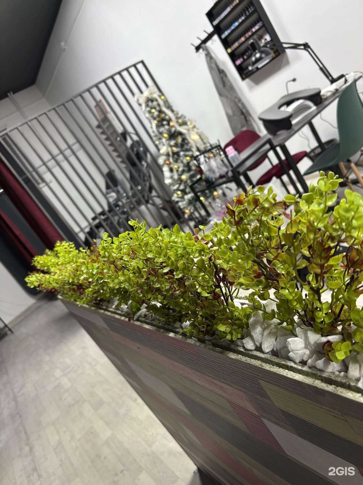 Отзывы на компанию Red cherry в Барнауле c фото