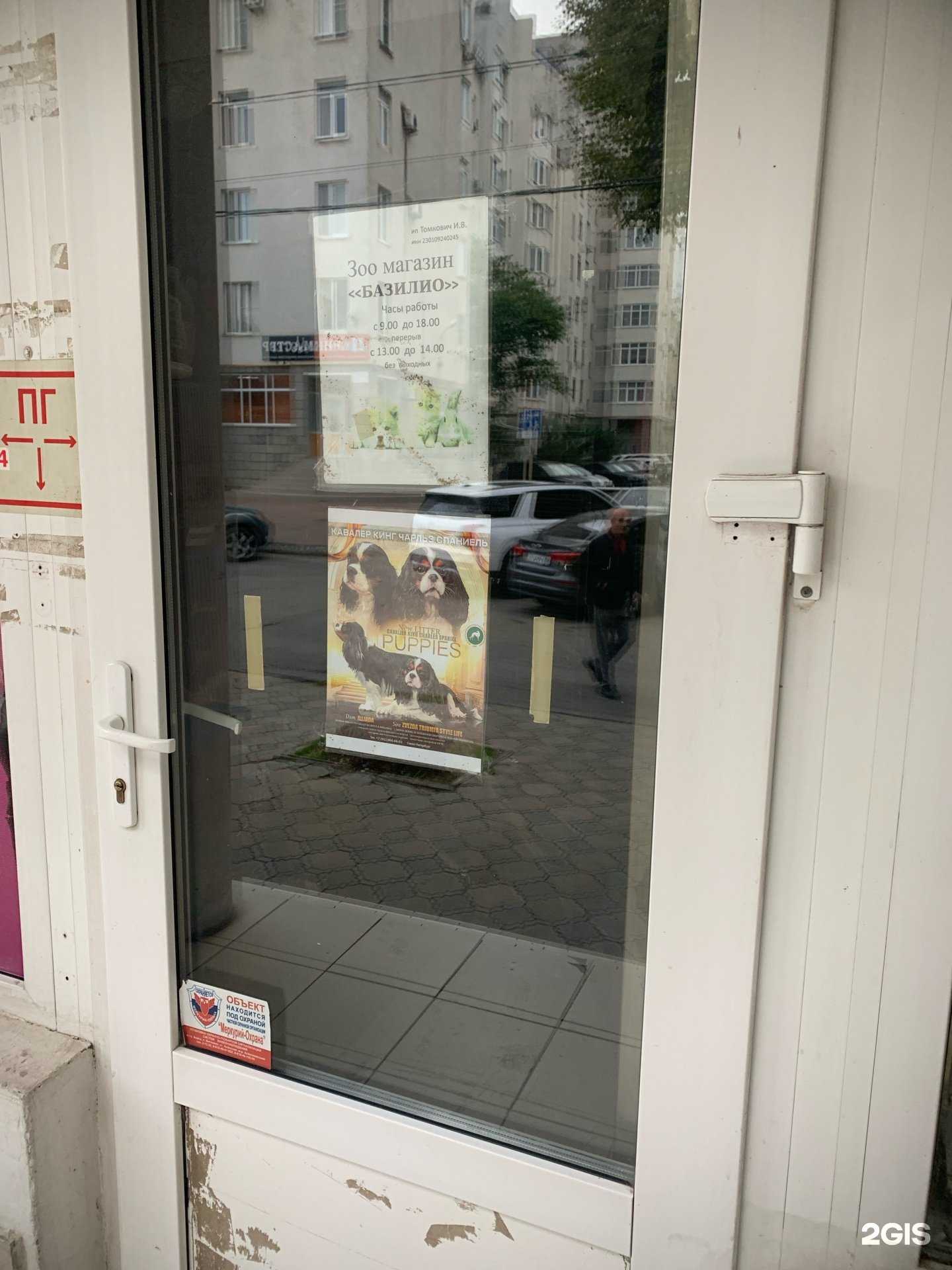 Отзывы на компанию Базилио в г. Анапа c фото