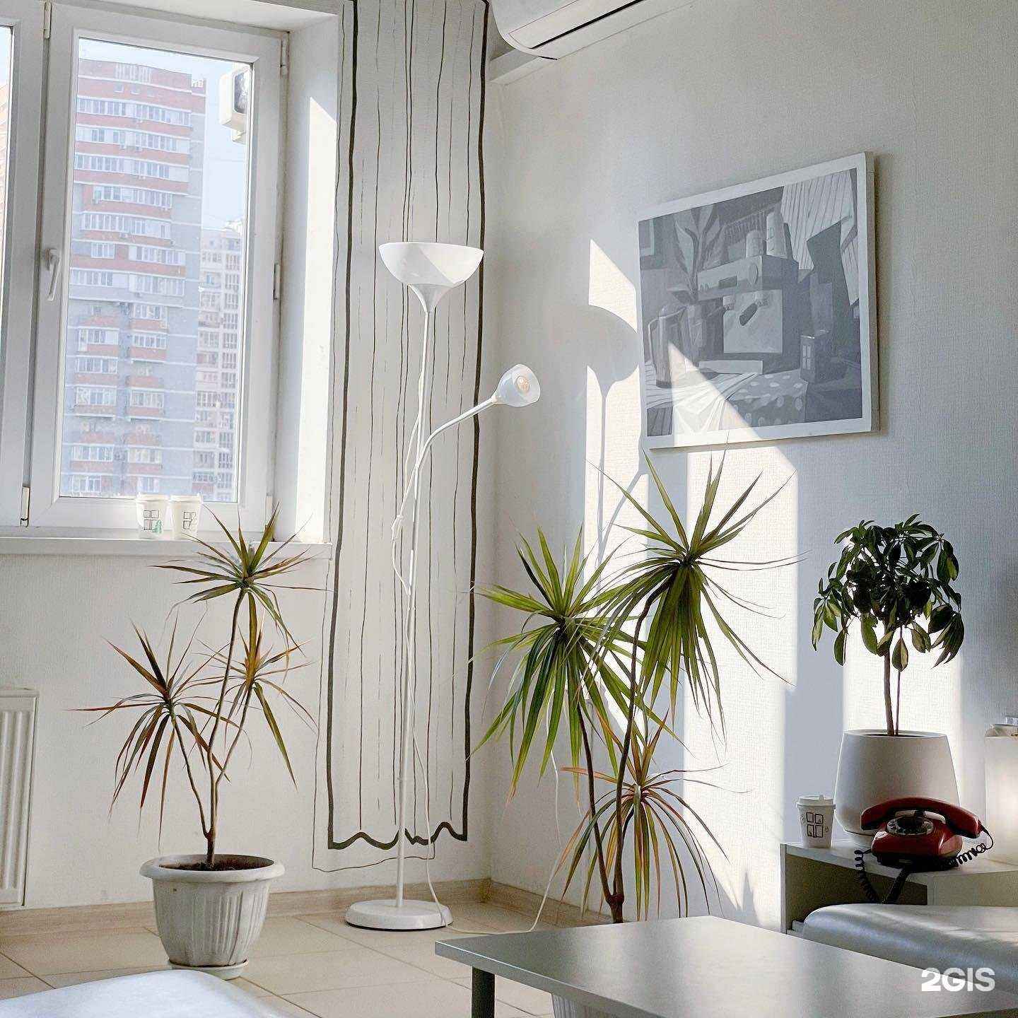 Отзывы на компанию Flat White Flat в Краснодаре c фото