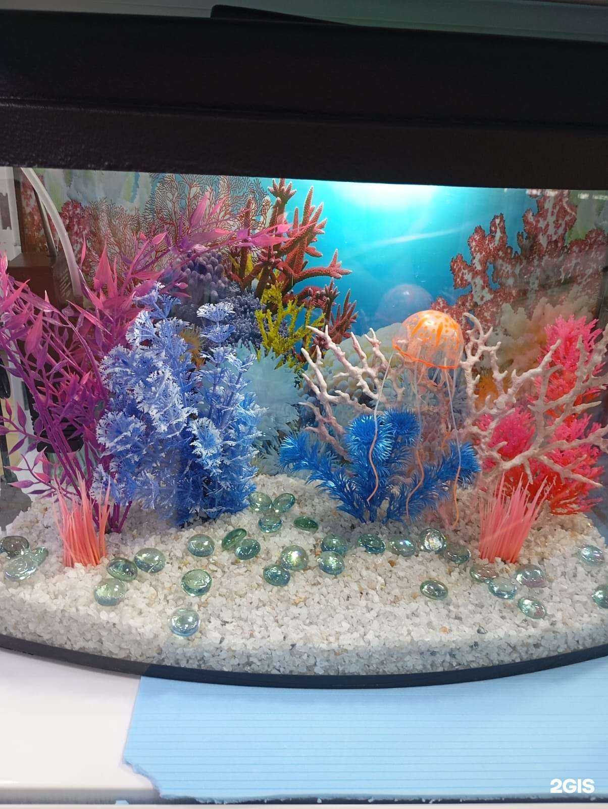 Отзывы на компанию ЗооГармония в Набережных Челнах c фото