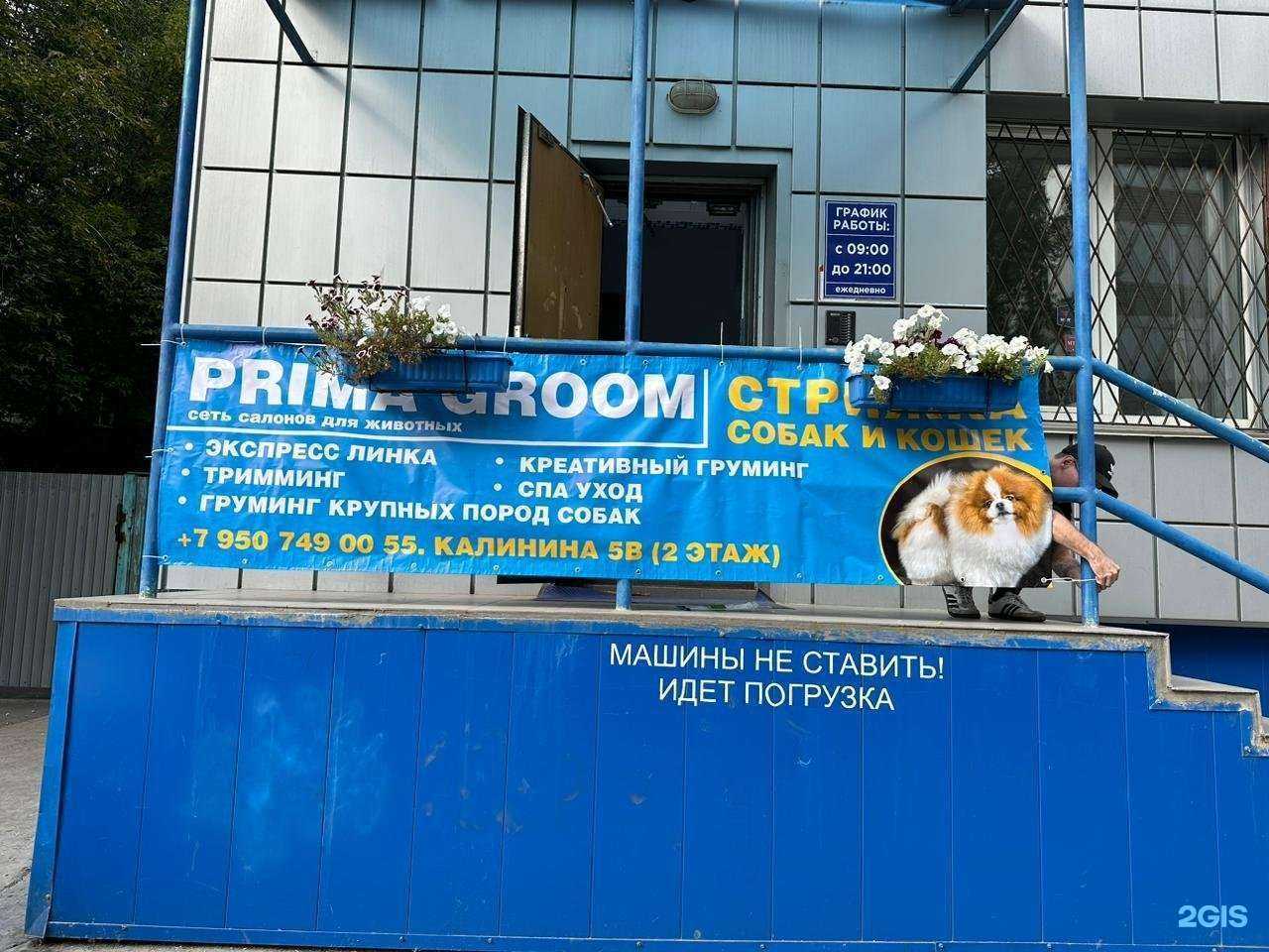 Отзывы на компанию PrimaGroom в Челябинске c фото