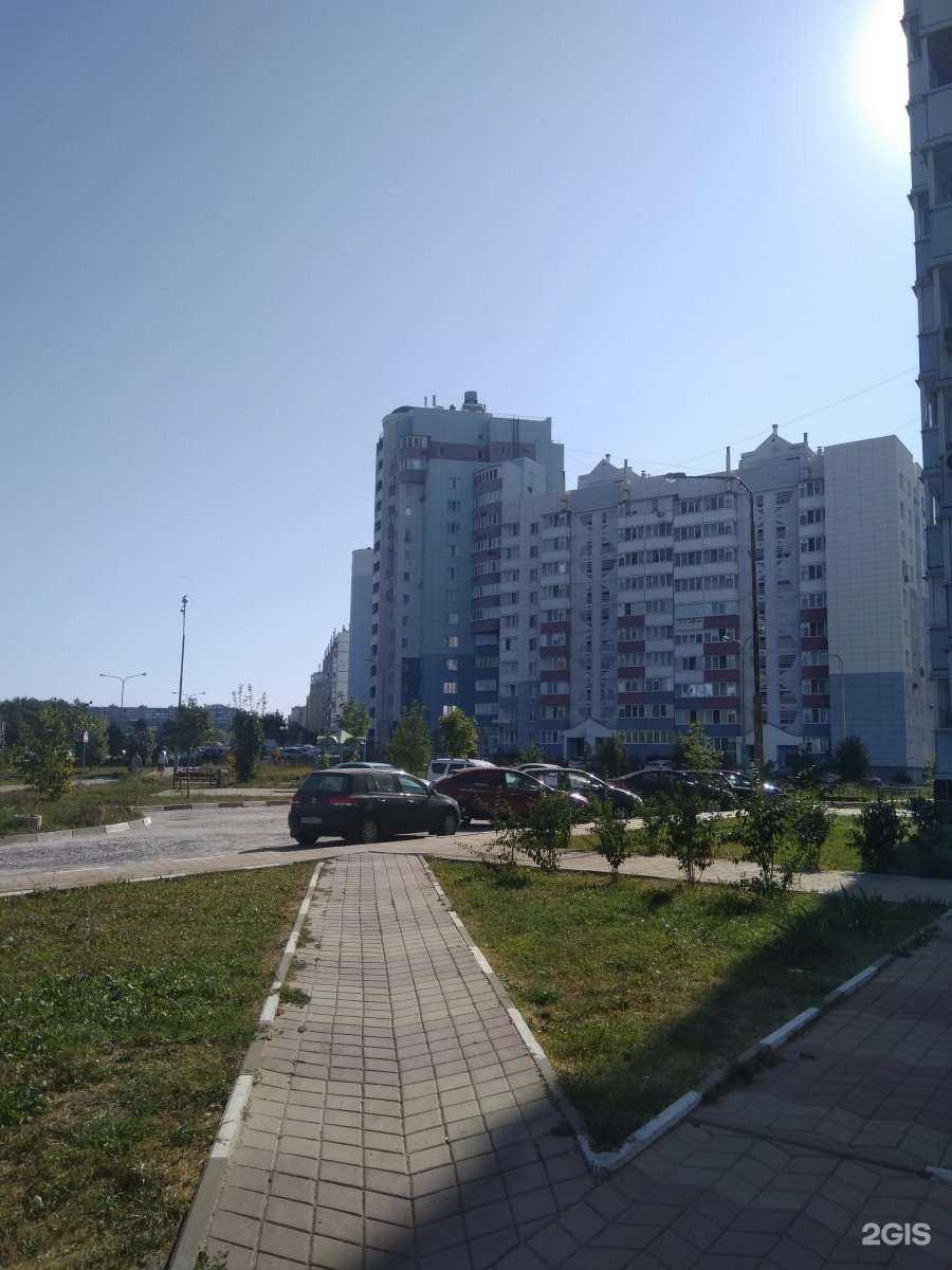 Отзывы на компанию Пальма в Белгороде c фото - фотография 2 из 2