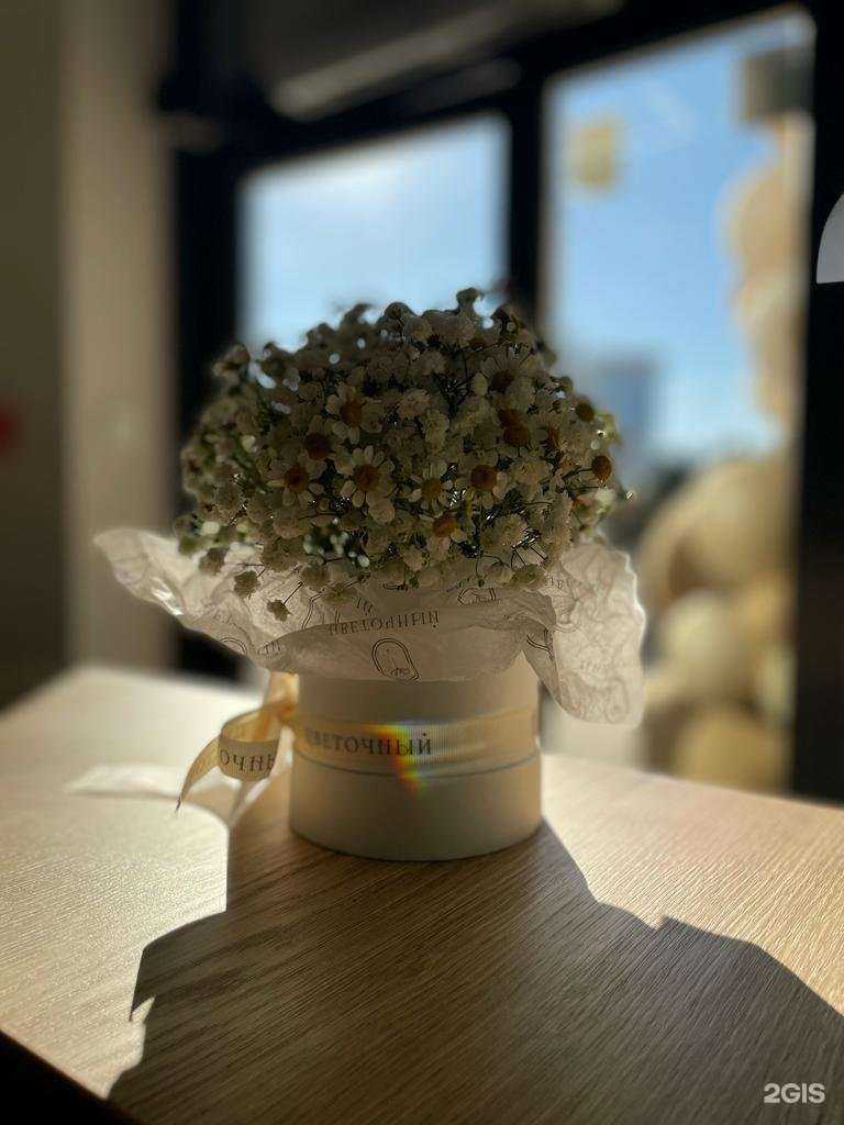 Отзывы на компанию Неодерма в Новосибирске c фото