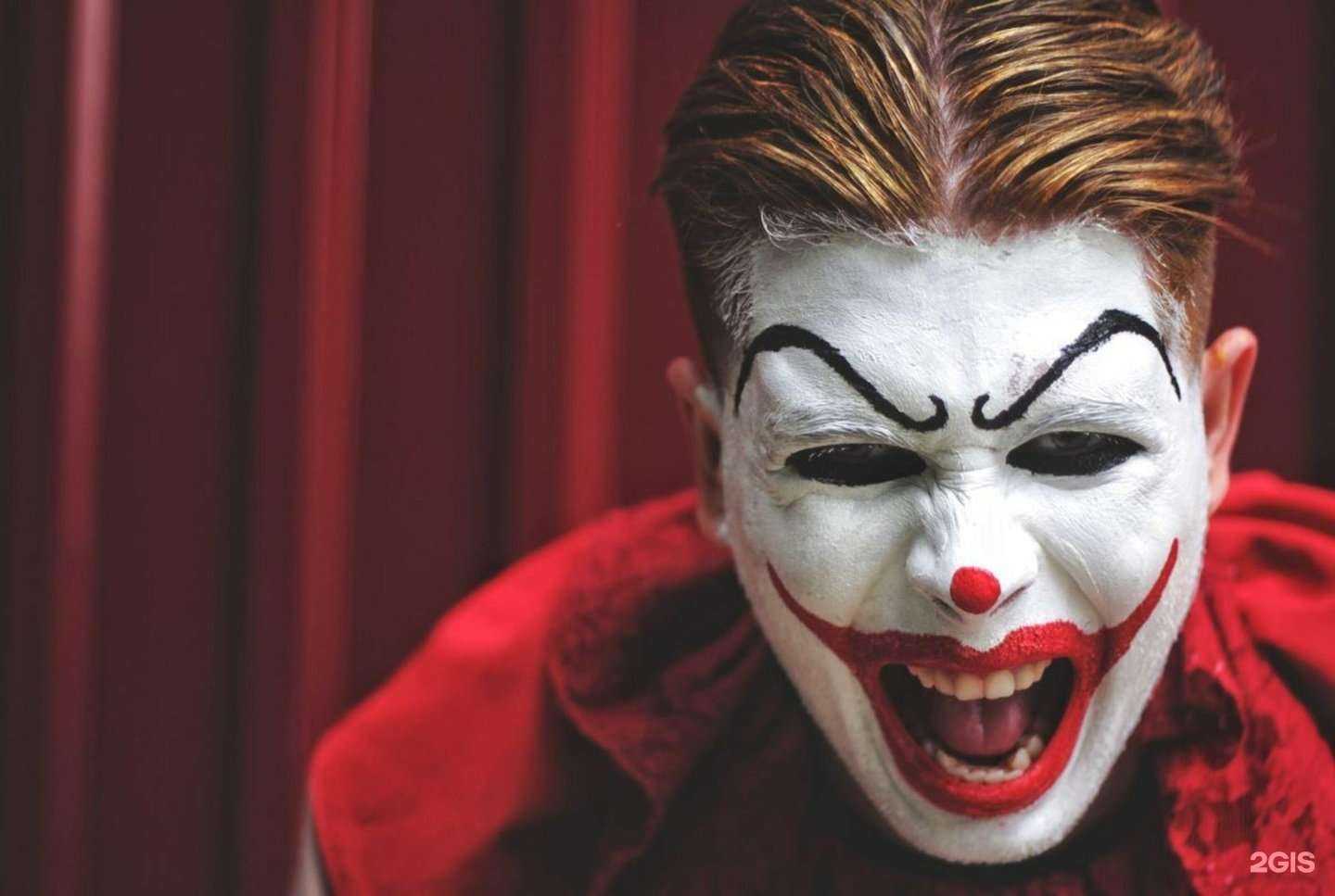 Отзывы на компанию Quest Stars в г. Новосибирск c фото