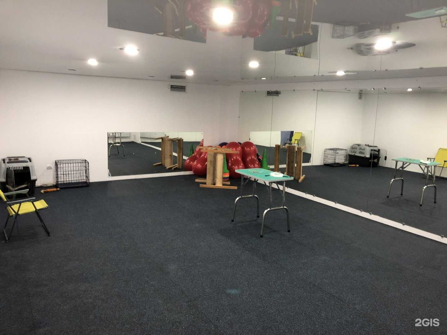 Отзывы на компанию Zoомания в Владивостоке c фото