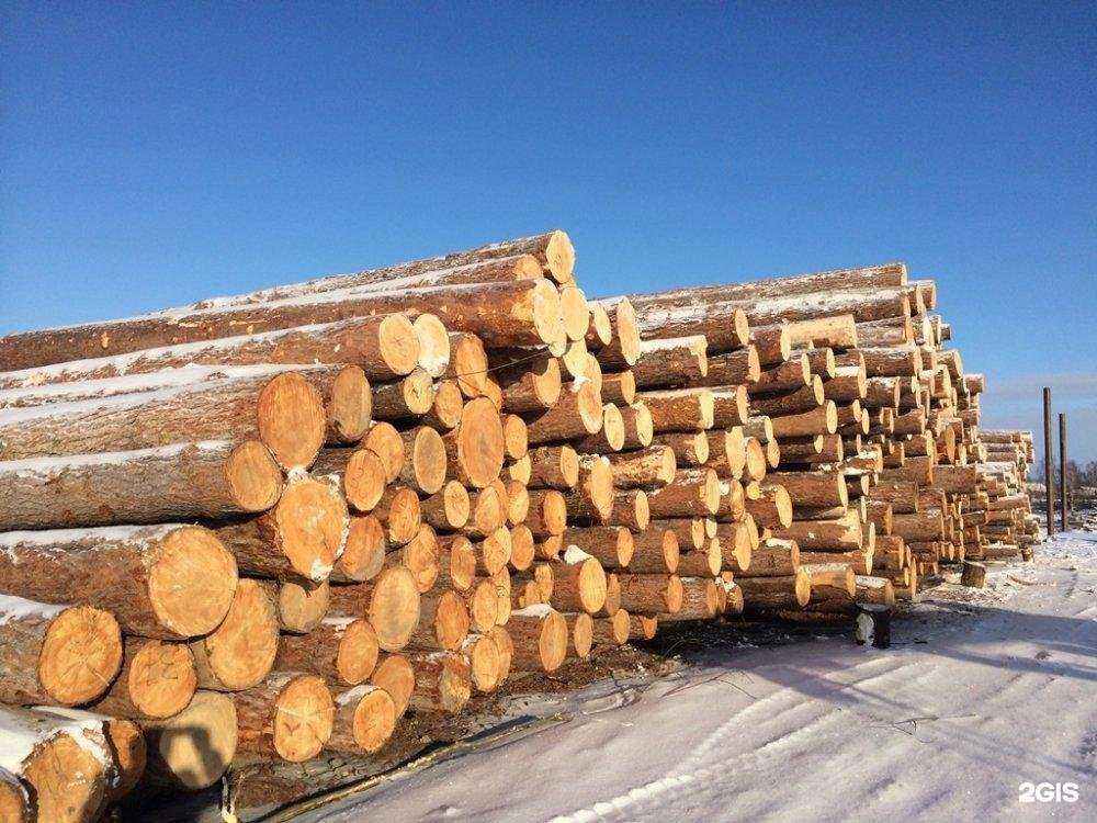 Отзывы на компанию Стх-лес в Балашихе c фото