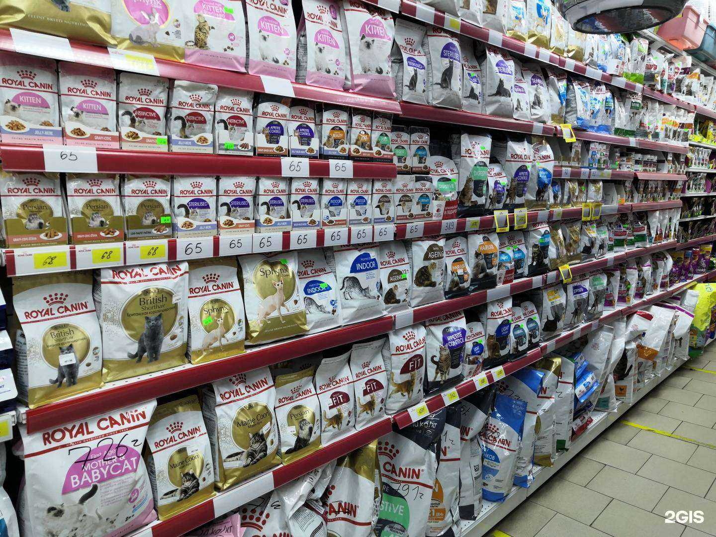 Отзывы на компанию Верный друг в Краснодаре c фото