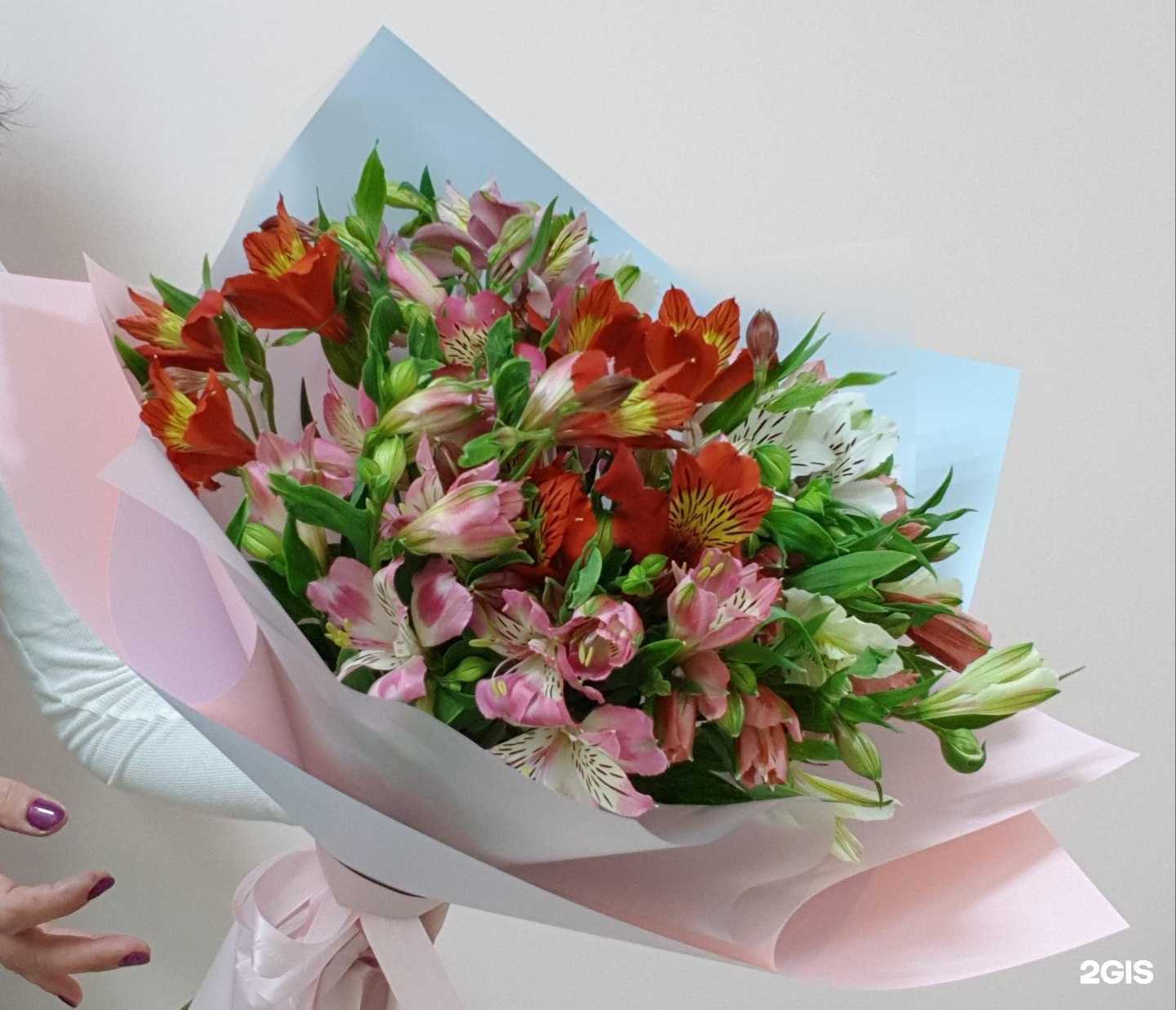 Отзывы на компанию Цветочный Алири в Курске c фото