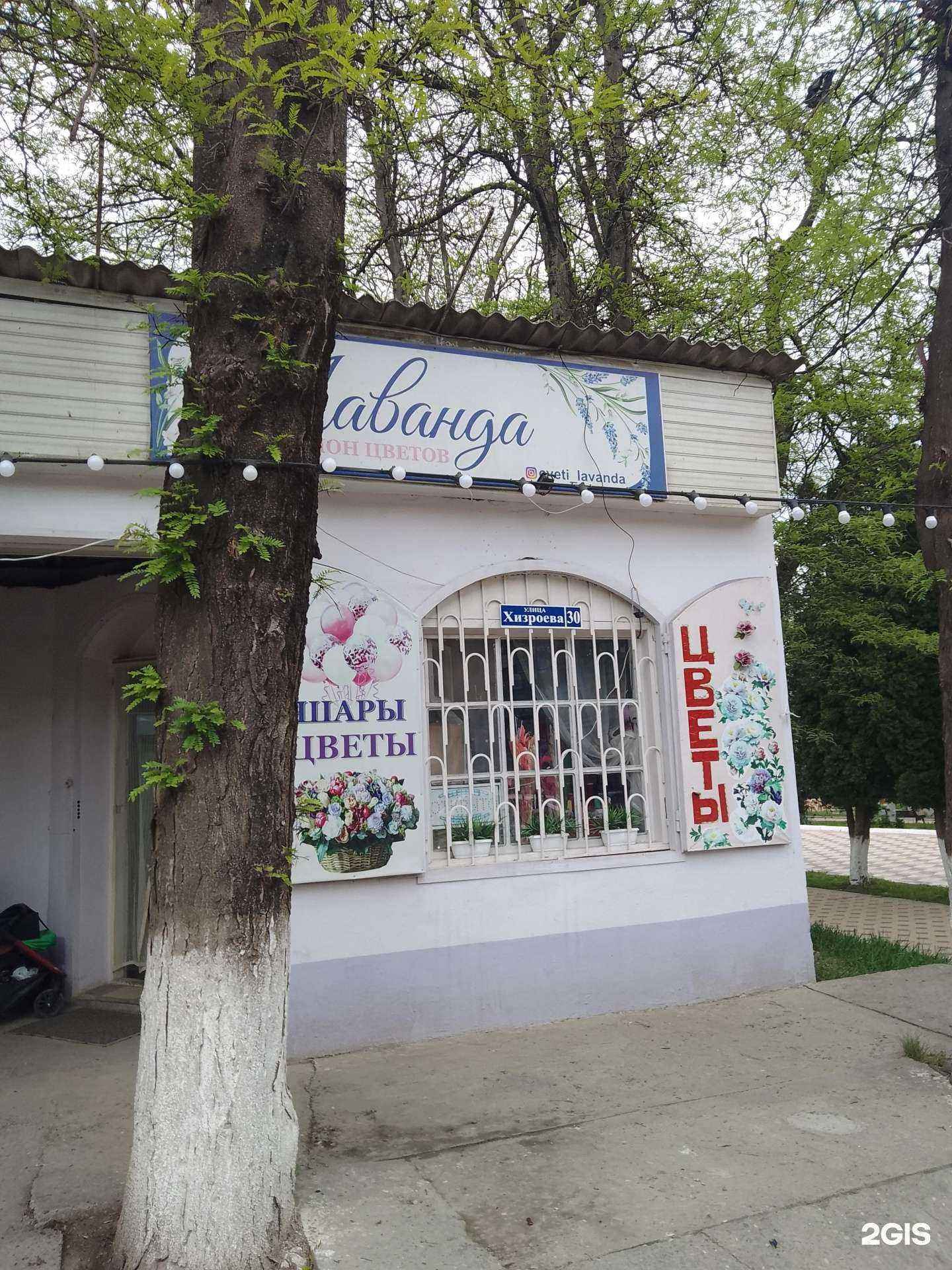 Отзывы на компанию Лаванда в г. Буйнакск c фото